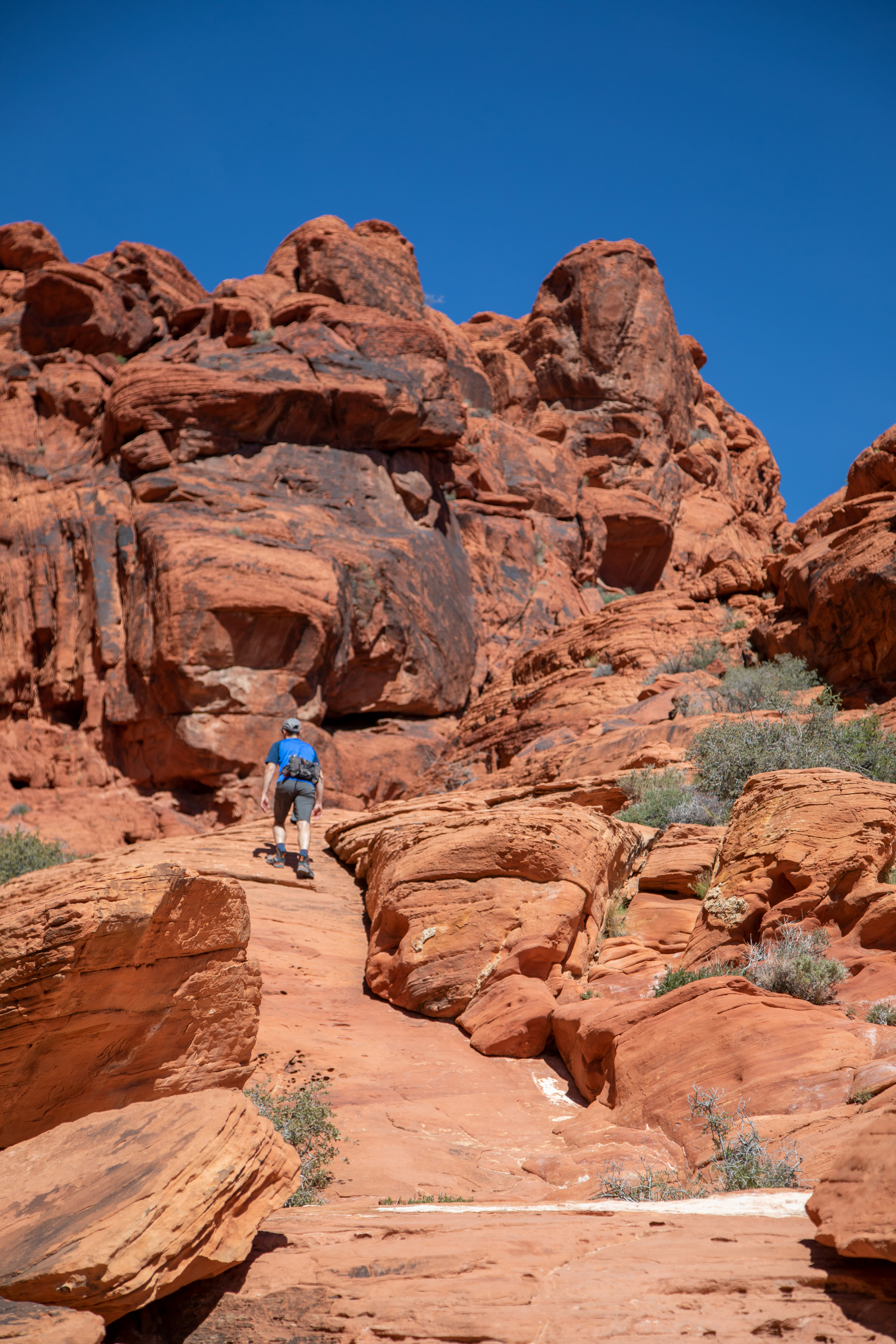 A hike on the Calico Basin Trail at Red Rock Canyon, a half-hour drive from Las Vegas. Photo / Beth Coller, The New York Times