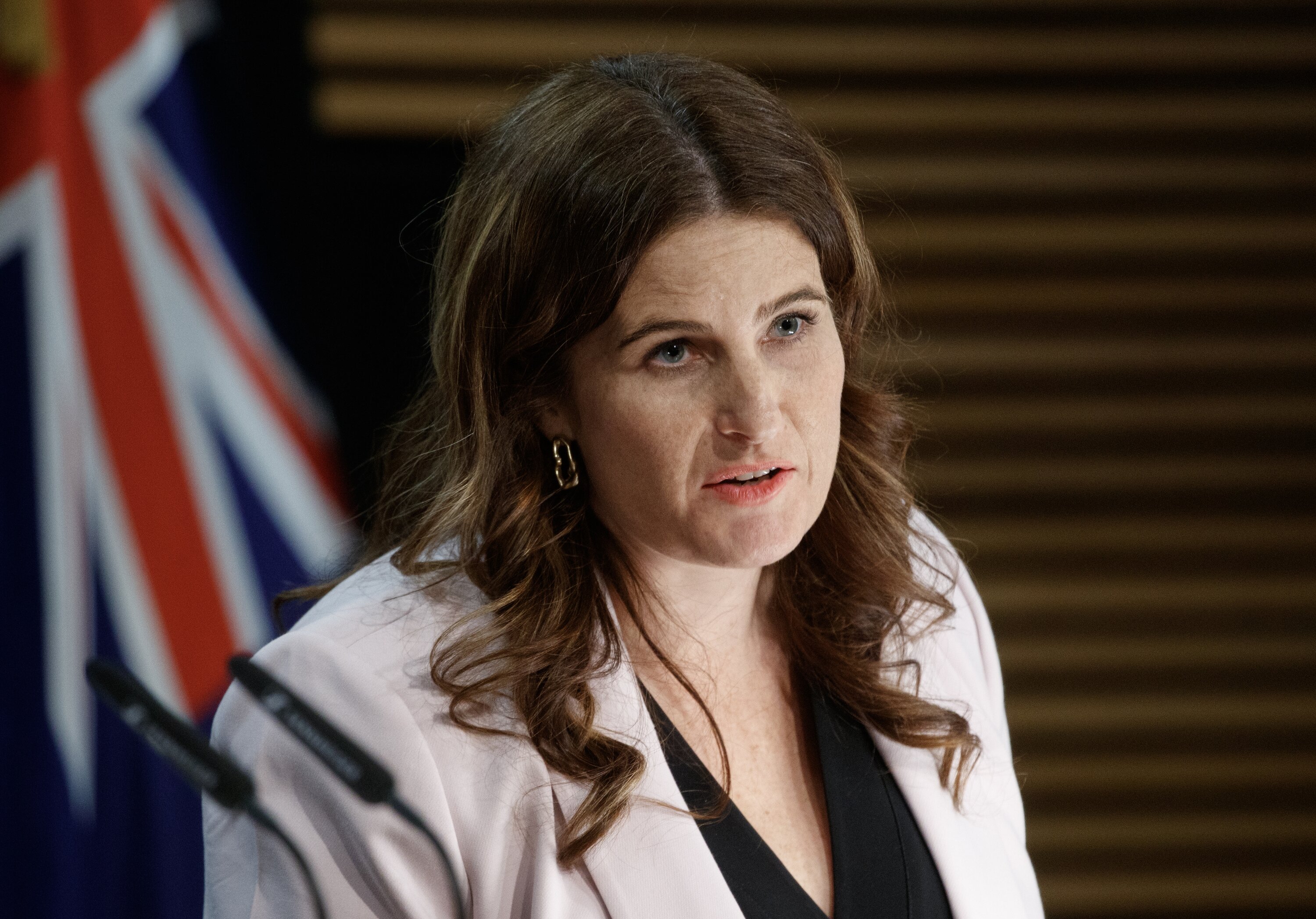 Finance Minister Nicola Willis. Photo / Mark Mitchell