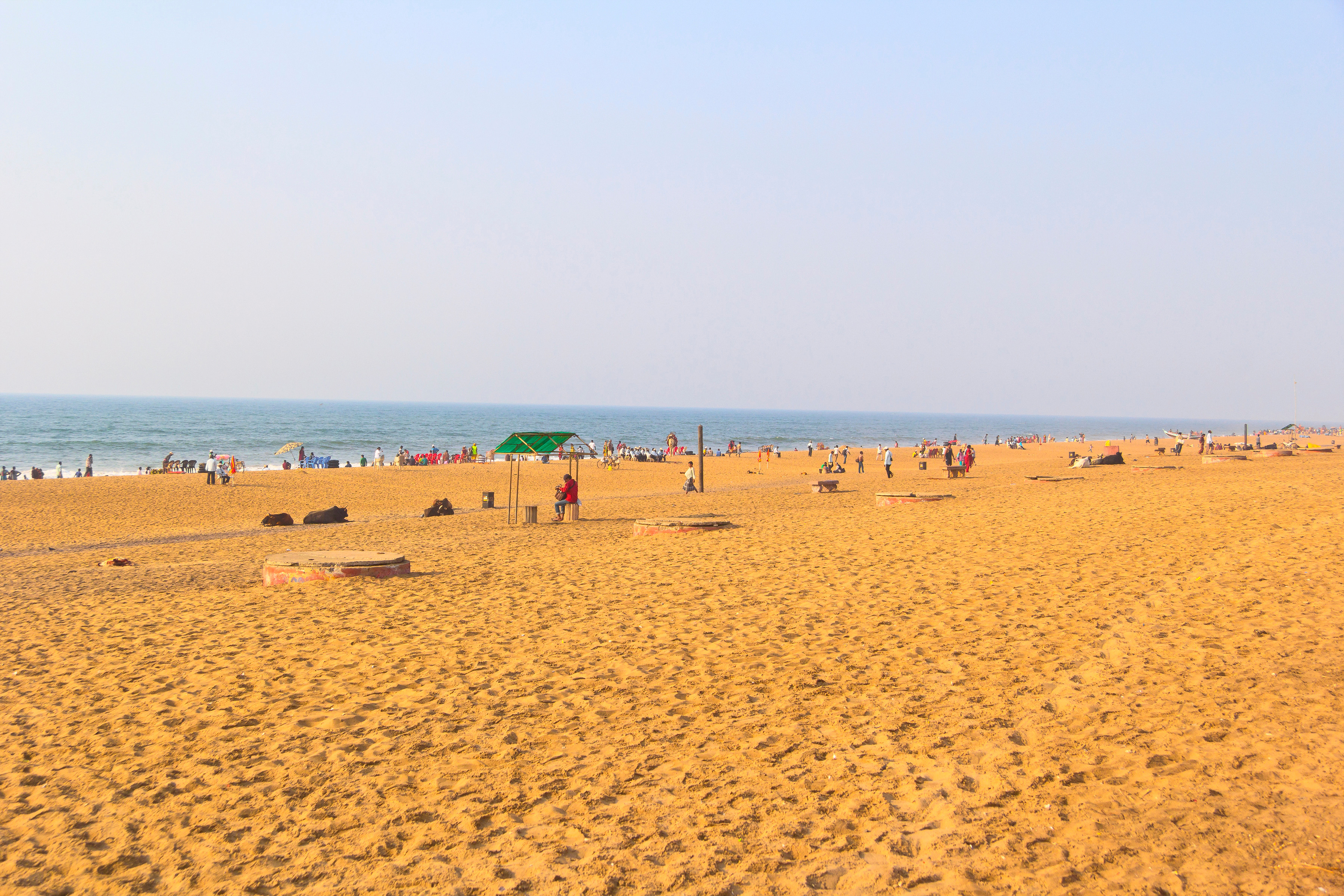 Puri is famous for the annual Rath Yatra festival, attracting thousands of devotees. Photo / 123rf
