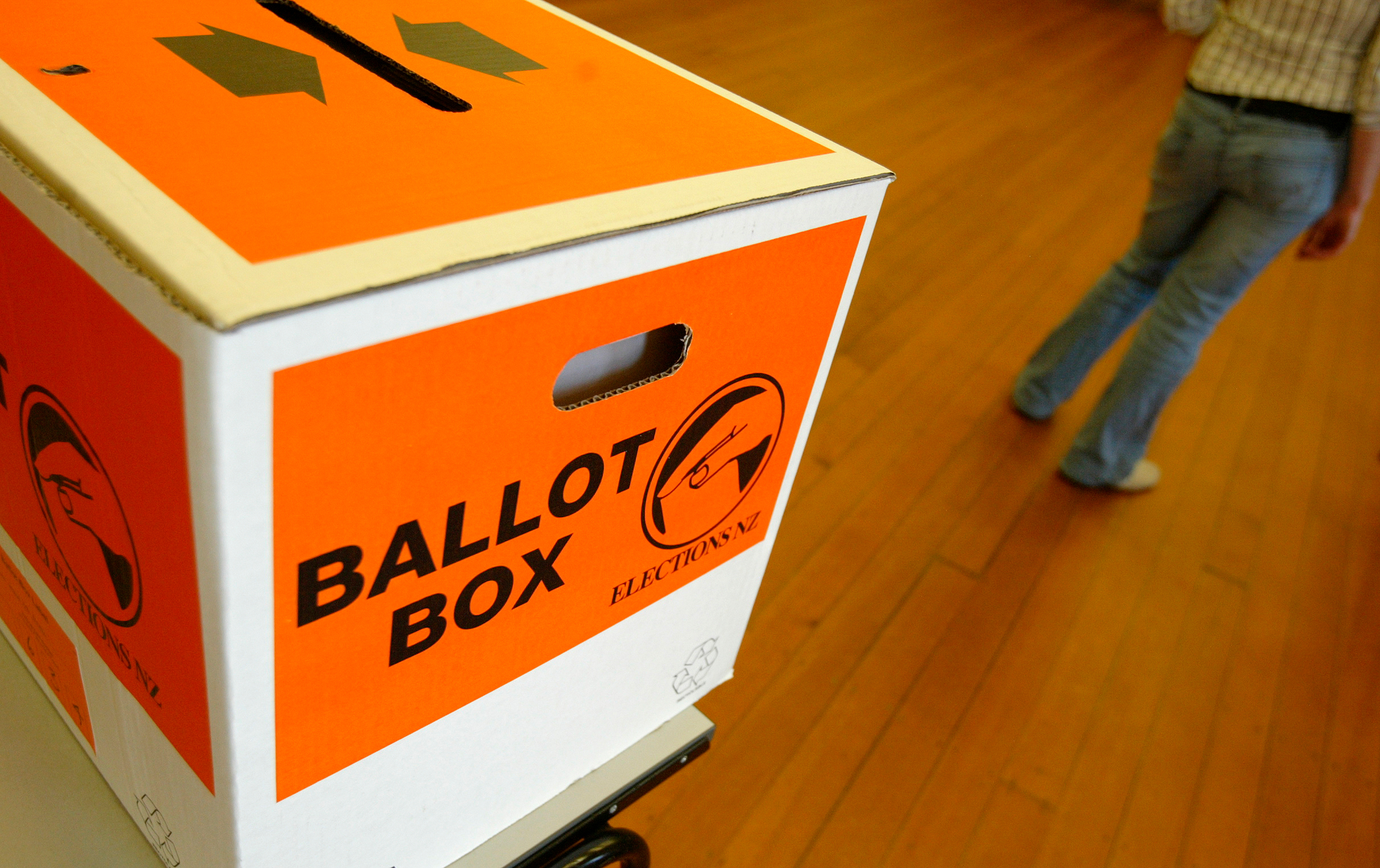 Tauranga City Council wasn't included in the local government election of 2022. Photo / NZME