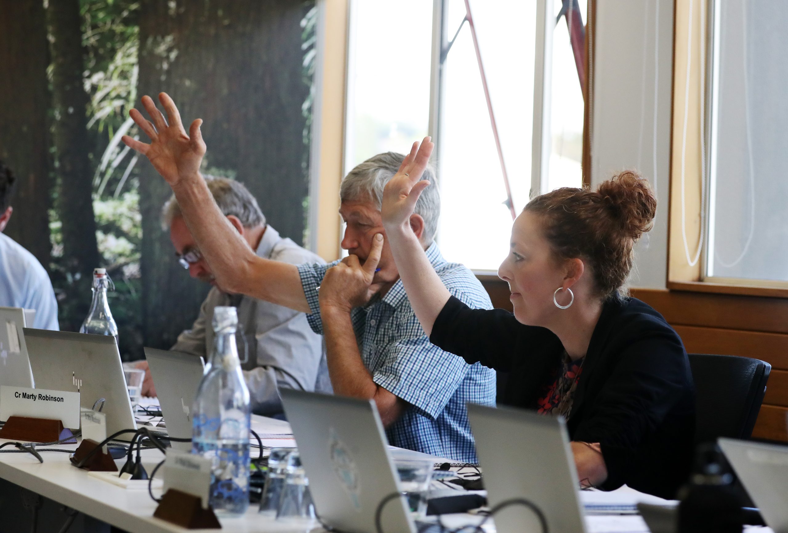 NRC councillors (from left) Joe Carr, Marty Robinson and Amy Macdonald illustrating differing voting perspectives at NRC's November council meeting. Photo / Michael Cunningham