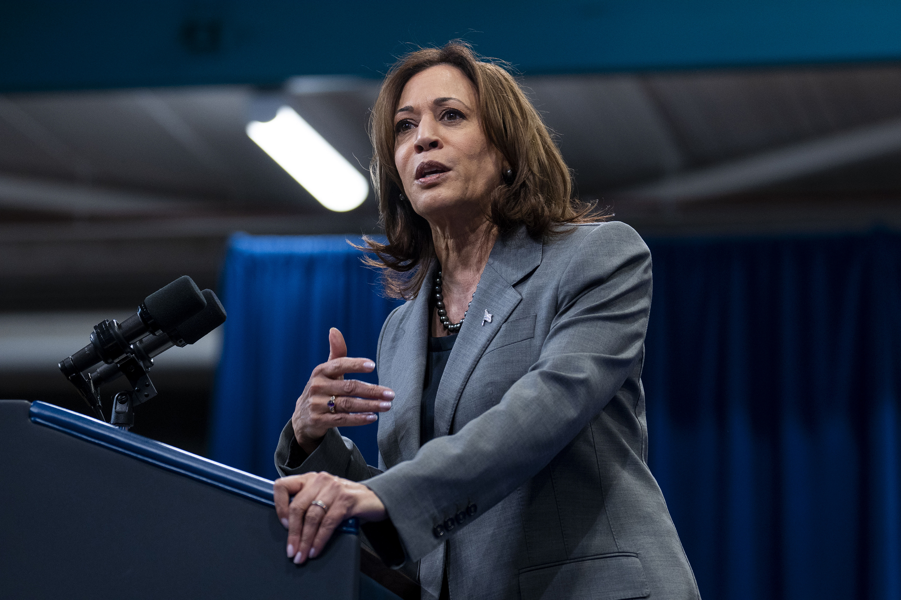 Campaign finance experts agree that Vice President Kamala Harris would be able to take over Biden’s campaign accounts if she became the nominee. Photo / Doug Mills, The New York Times