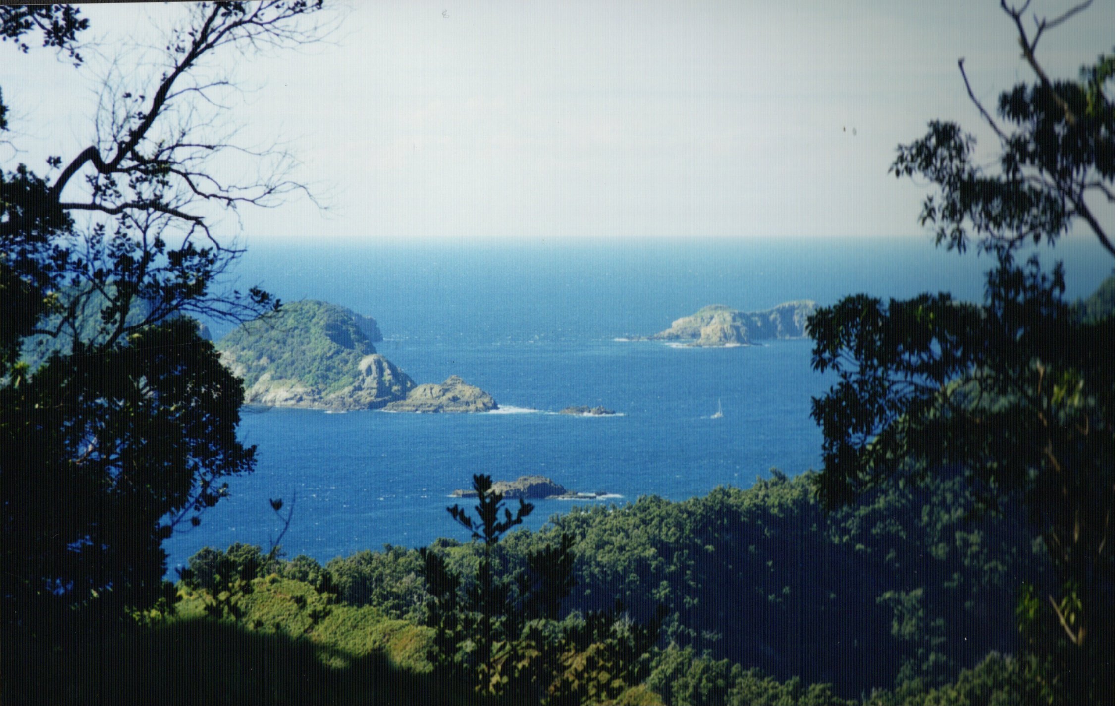 The long-contested proposal for a Kermadec Ocean Sanctuary has finally been scrapped. Photo / NZME