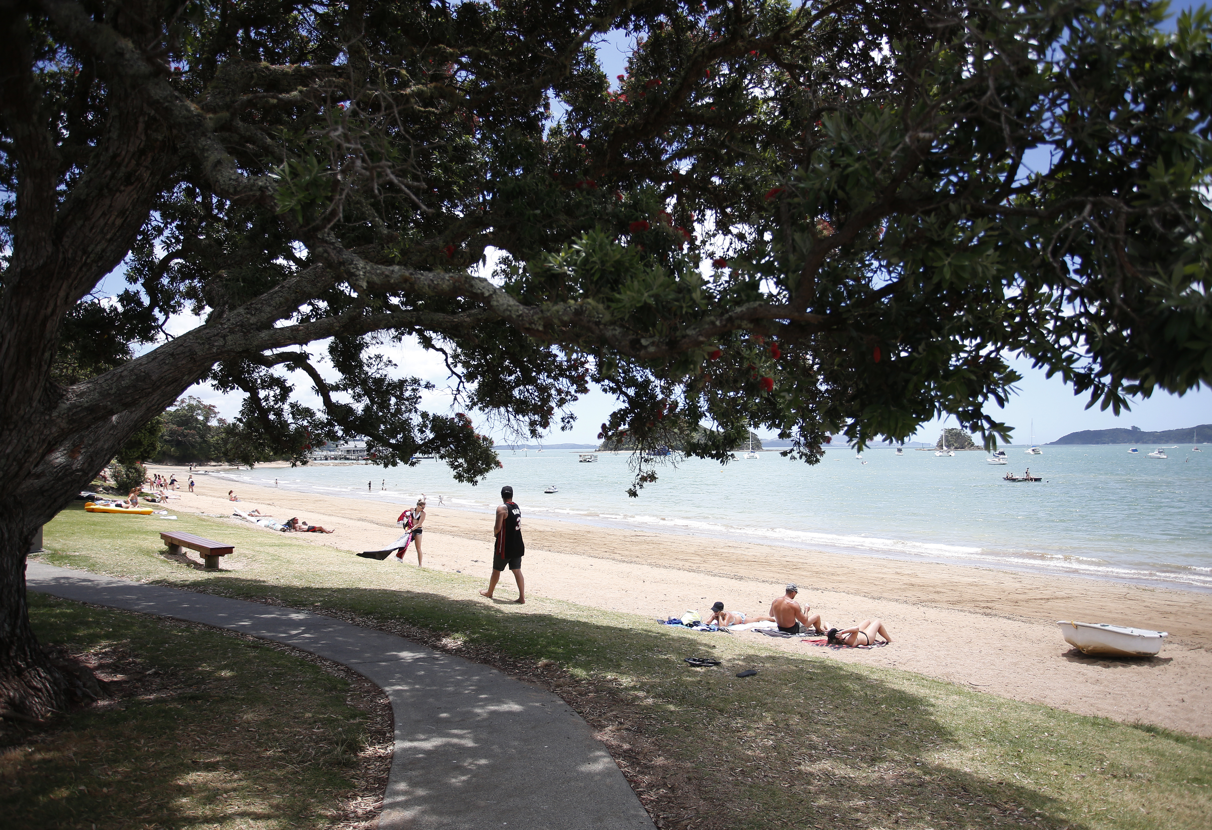 Chris Wilkins reckons Northland's reputation as a tourism hotspot was the ideal place for a drug market to develop. Photo / NZME