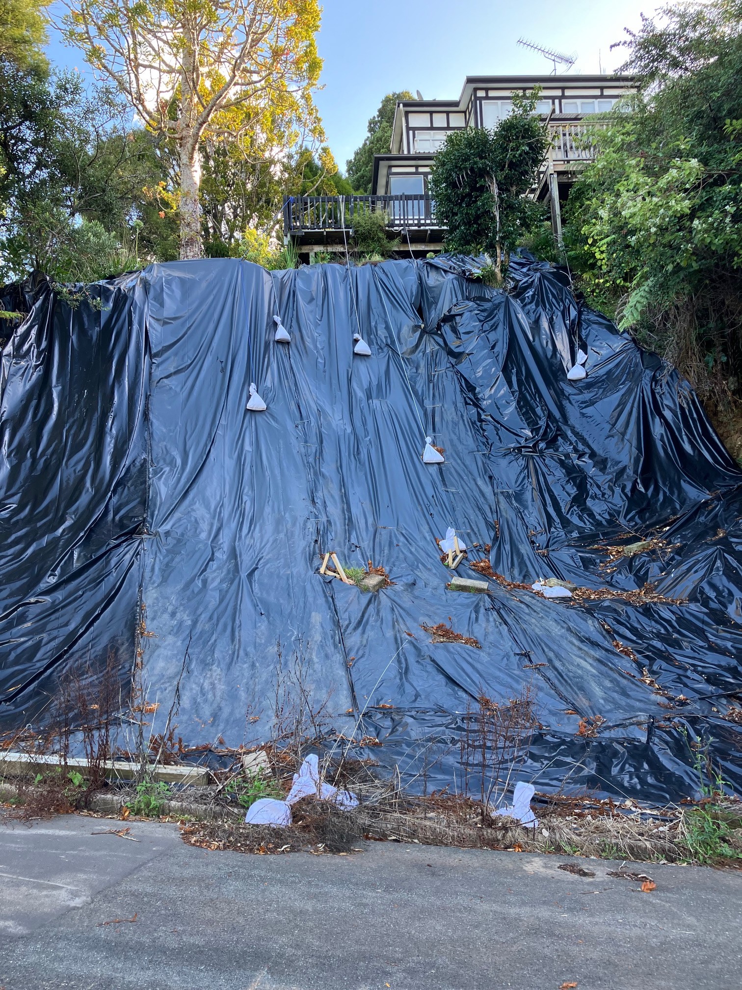 A slip on council land in front of a home in West Auckland.