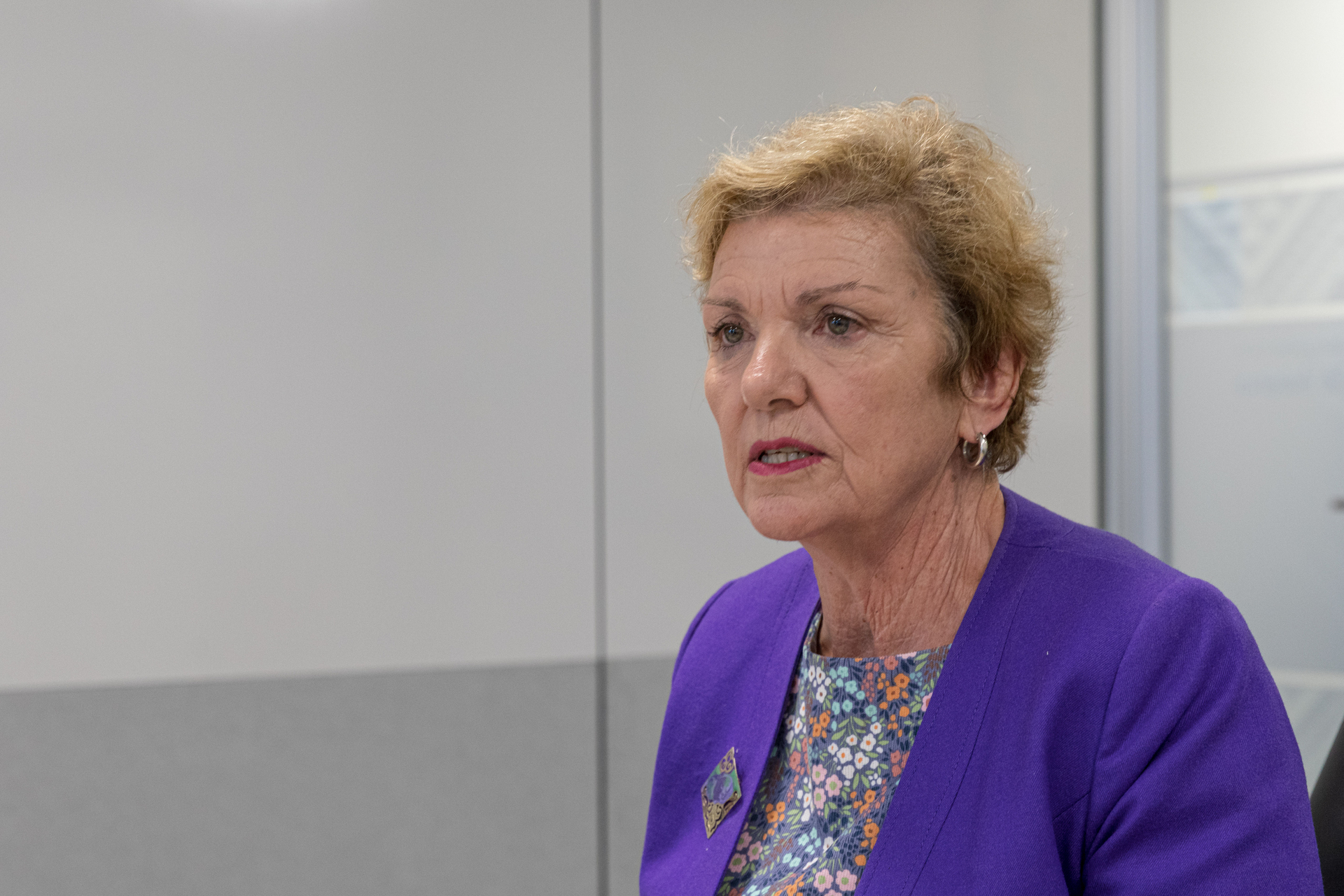 Commission chairwoman Anne Tolley. Photo / NZME