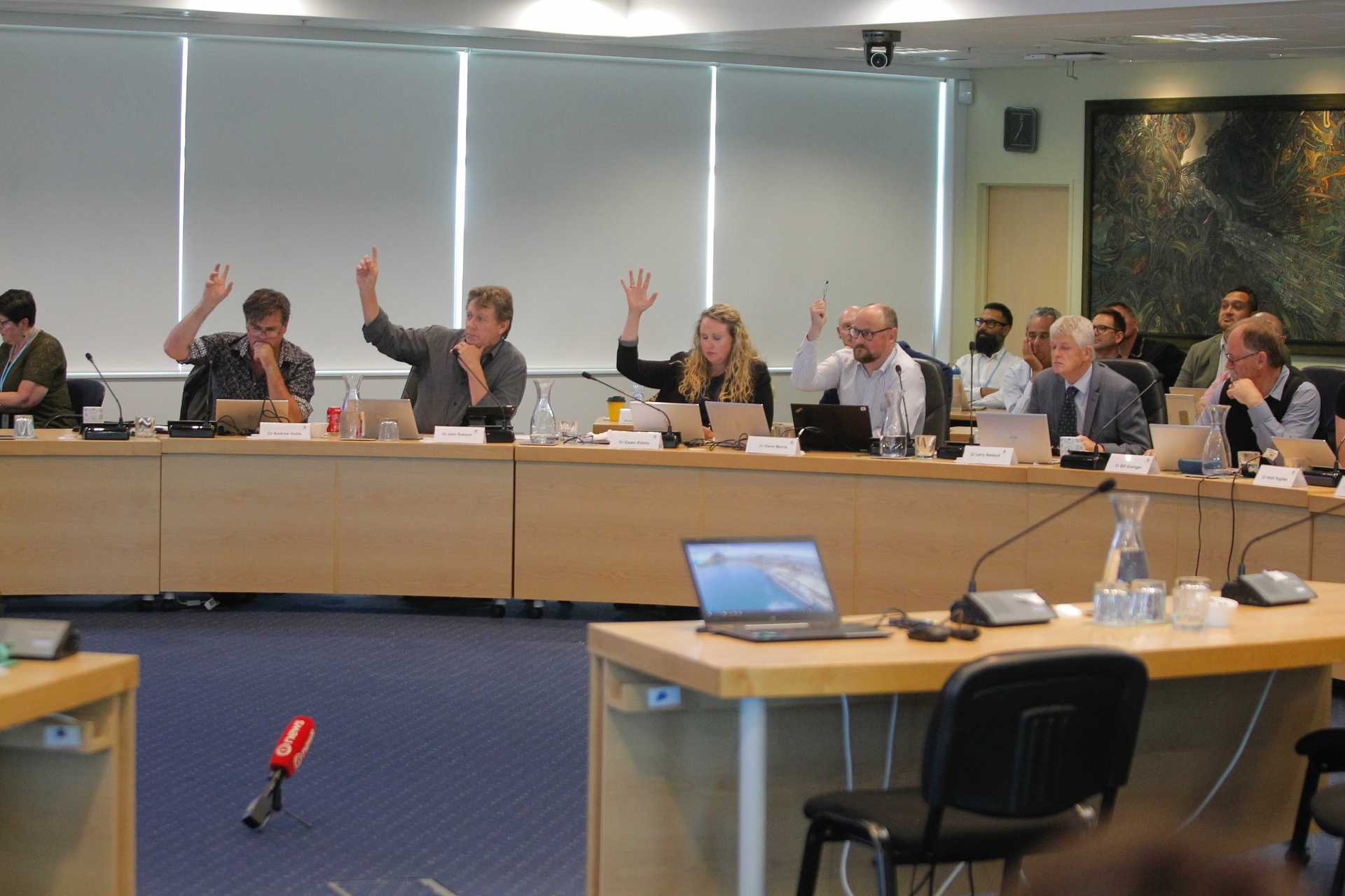 Tauranga City councillors vote in an extraordinary meeting on November 20. Photo / File