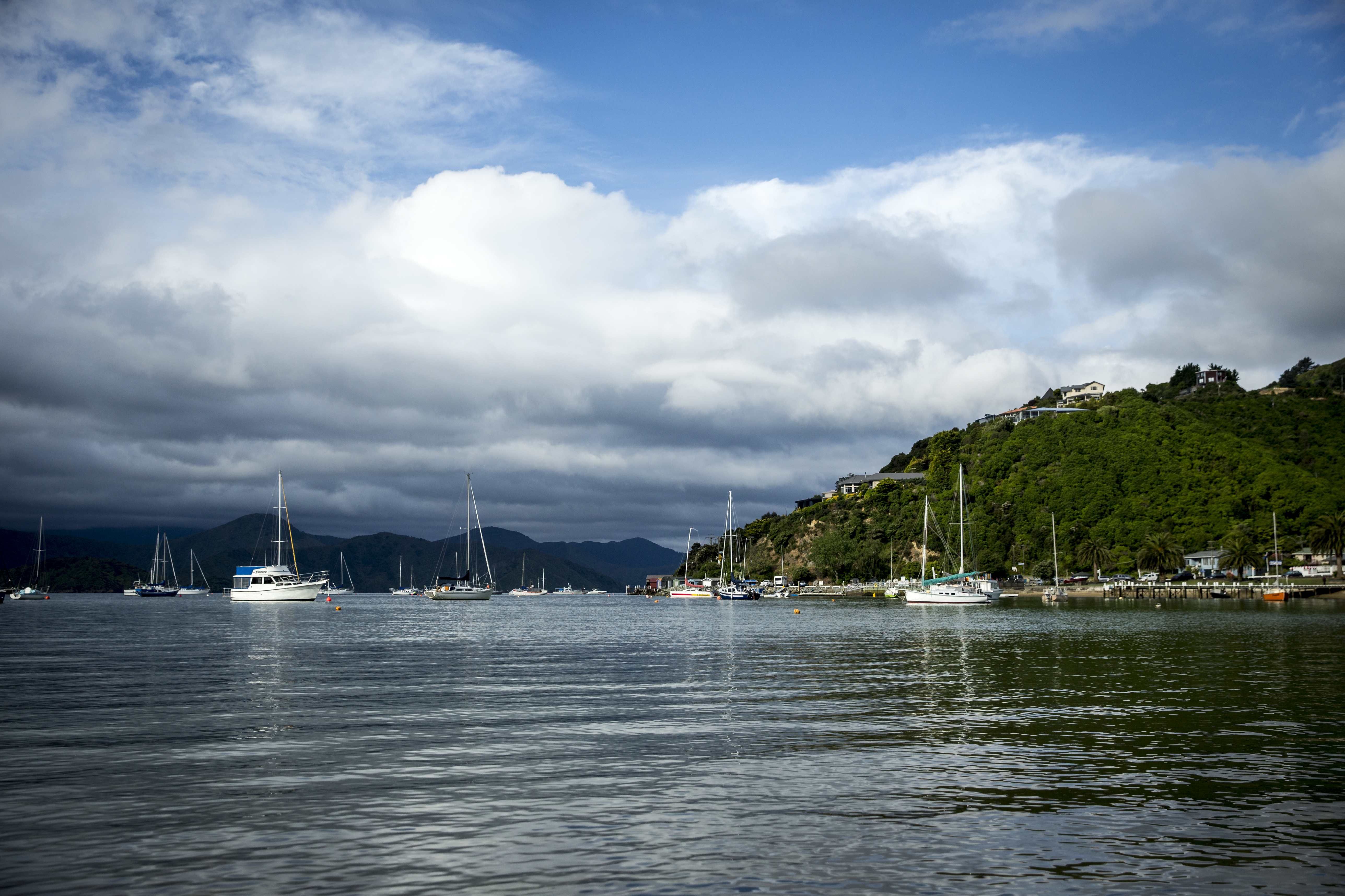Waikawa Bay in Picton. Photo / Mike Scott
