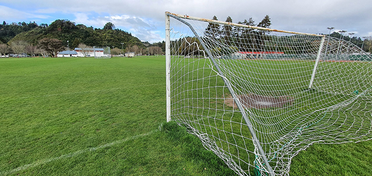 Whakatāne District Council proposes raising rental fees for sports grounds, such as the athletic field at Rex Morpeth Park. Photo / Diane McCarthy