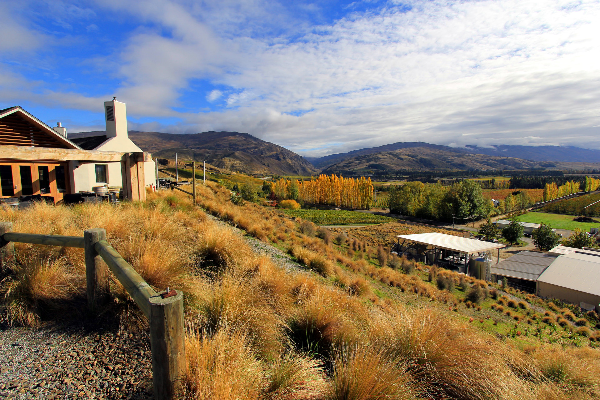 For views across the Cromwell Basin to Lake Dunstan, Mt Difficulty Cellar Door is the place to go. Photo / 123rf