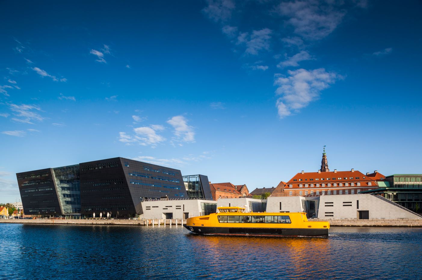 The yellow harbour 