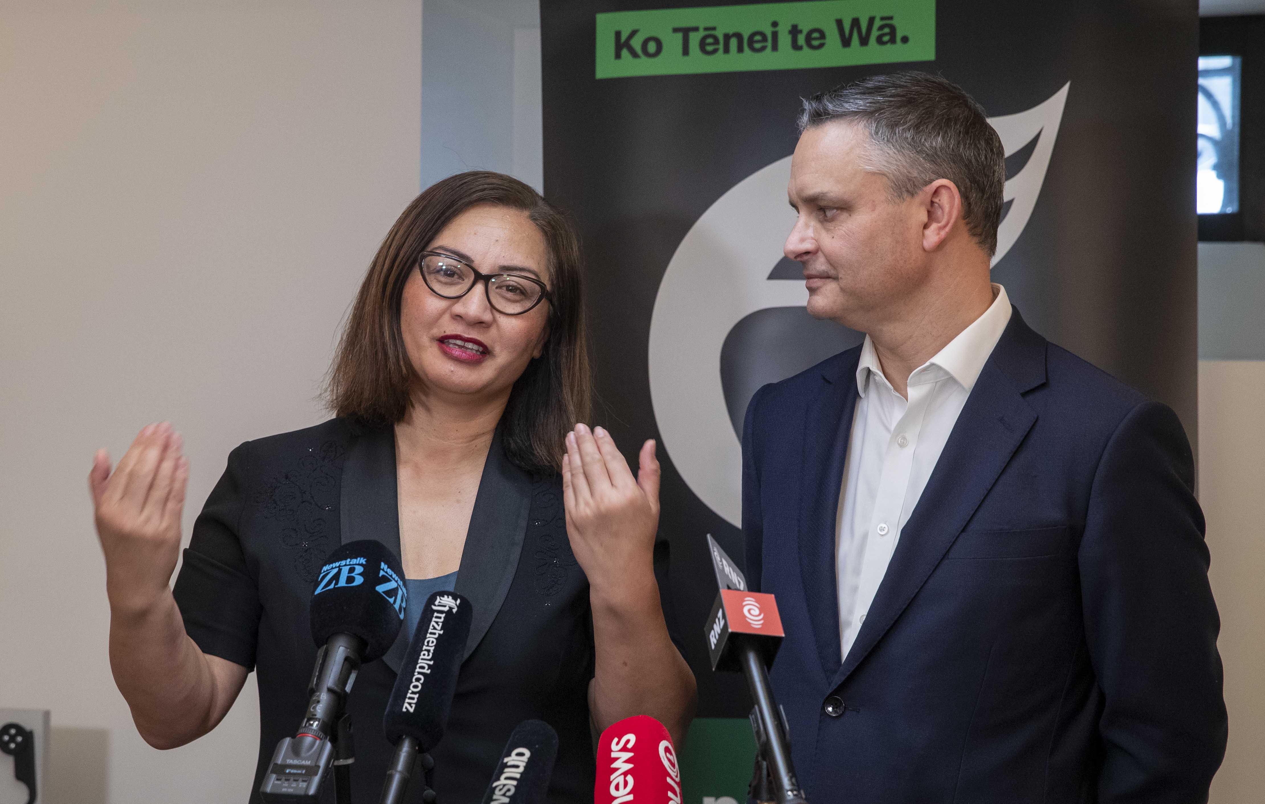 Greens co-leaders Marama Davidson and James Shaw. Photo / Mark Mitchell