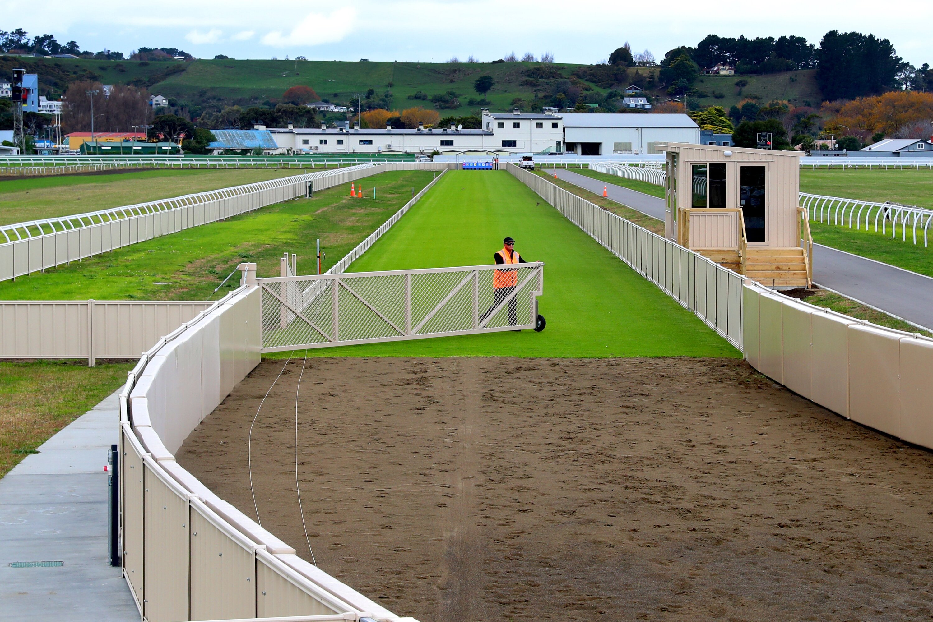 The new straight track for greyhound racing has undergone four sets of trials, with race-day protocols to be tested on June 5. Photo / Bevan Conley