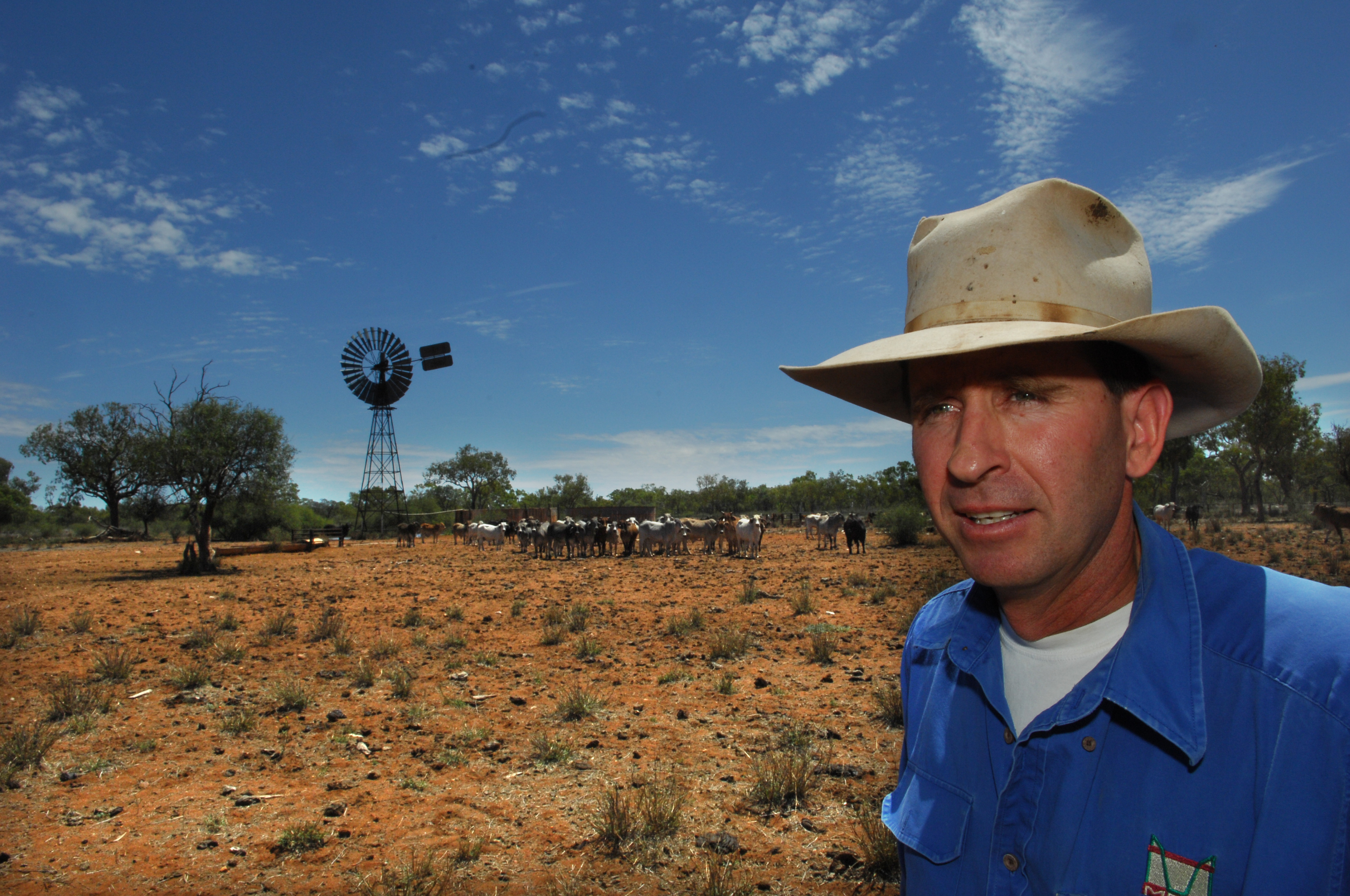 Zanda McDonald was a prominent identity in the Australian beef and livestock industry.