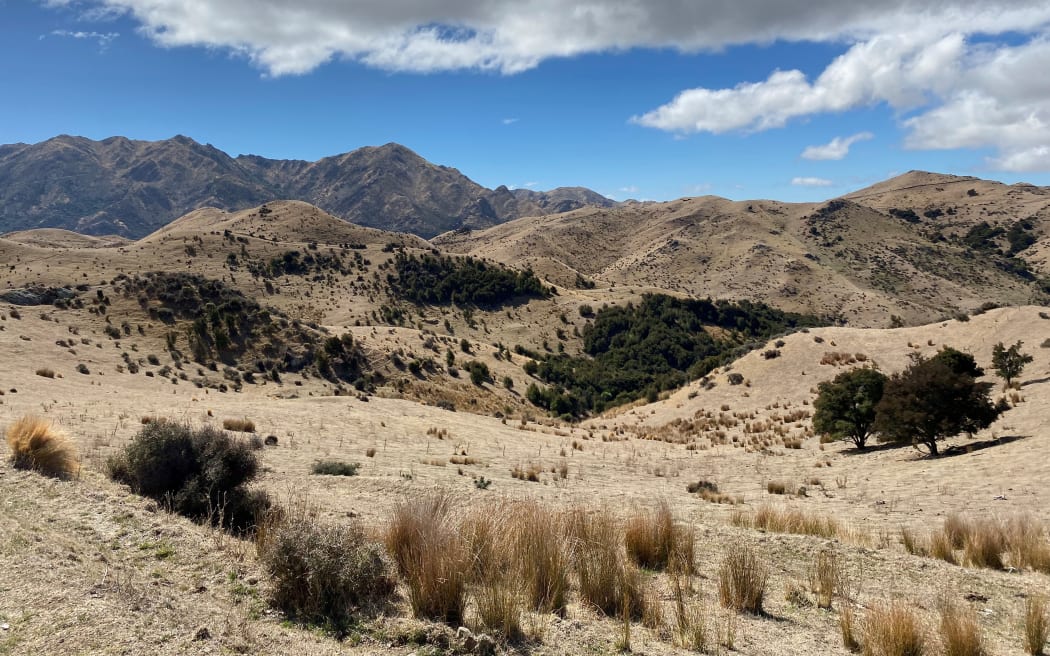Over the past nine months, Marlborough experienced its lowest rainfall in almost 100 years. Photo / RNZ 