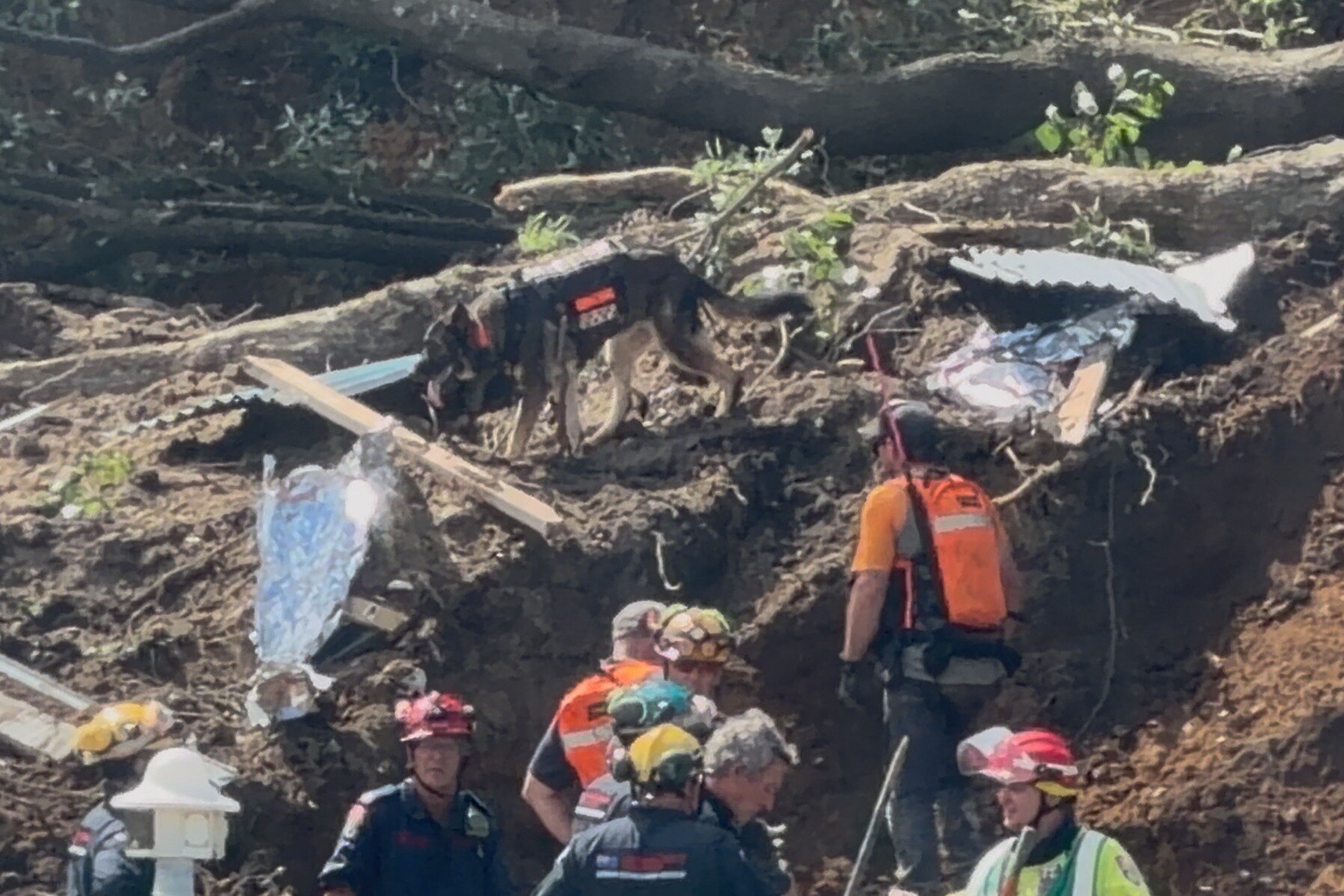 Dog teams move in on Thursday during the rescue effort following a large landslide.