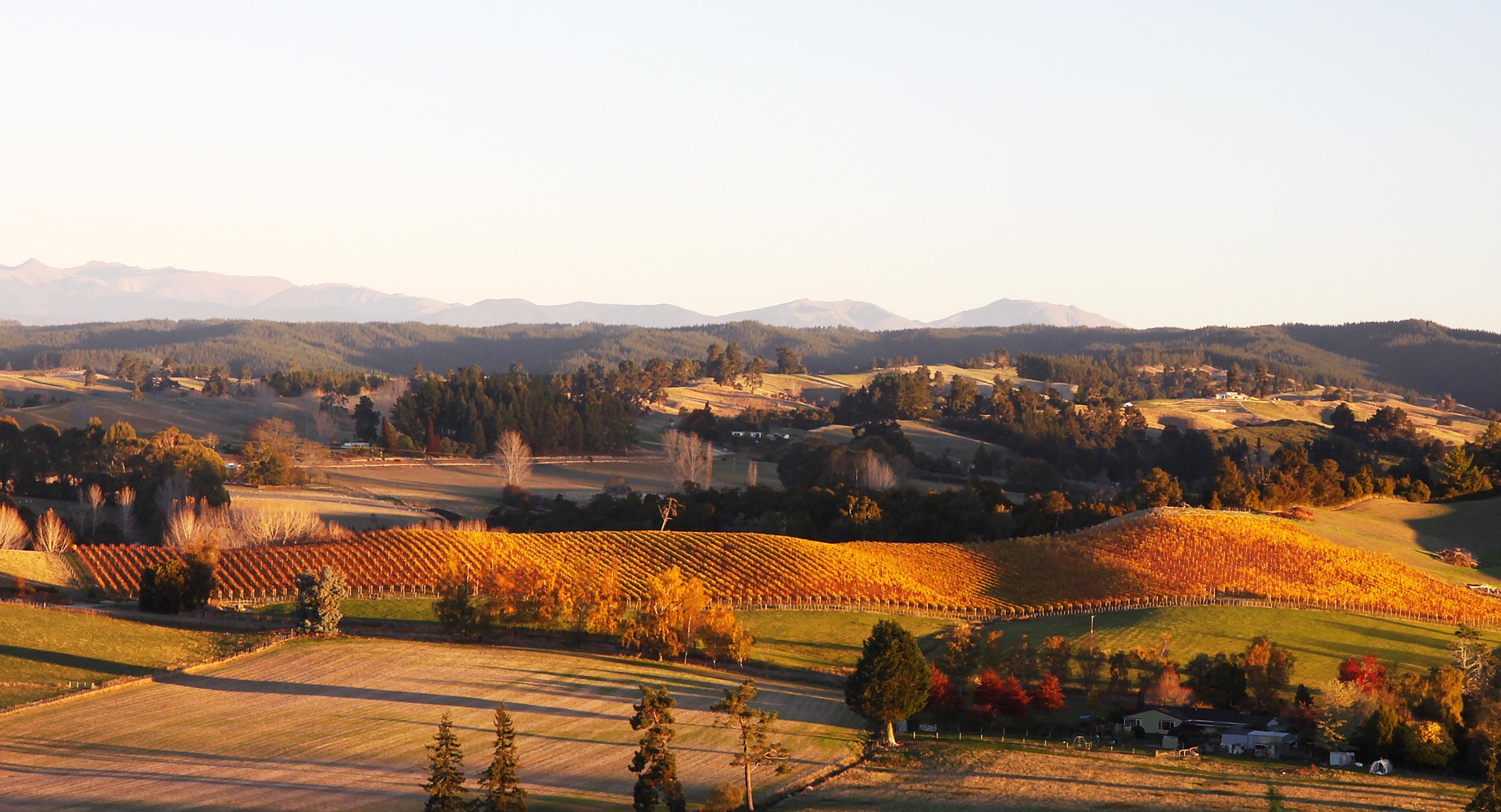 Retired berry growers Ray and Philippa Hellyer from the Moutere, near Motueka, were sued by the Tasman District Council for failing to pay rates, which they said they withheld until they got the answers they were seeking.