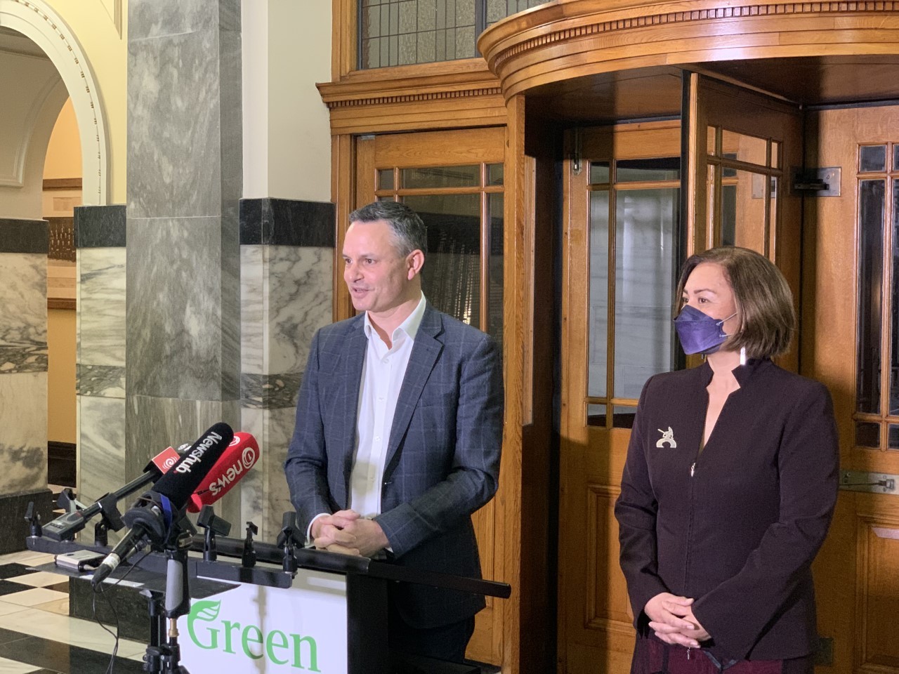 James Shaw and acting Green leader Marama Davidson after a vote forcing Shaw to re-contest the co-leadership. Photo / Thomas Coughlan