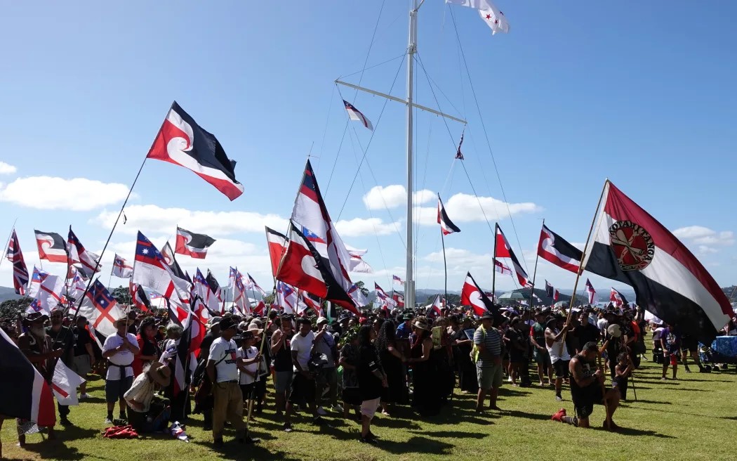 Protesters at Waitangi on February 6. Photo / Peter de Graaf, RNZ
