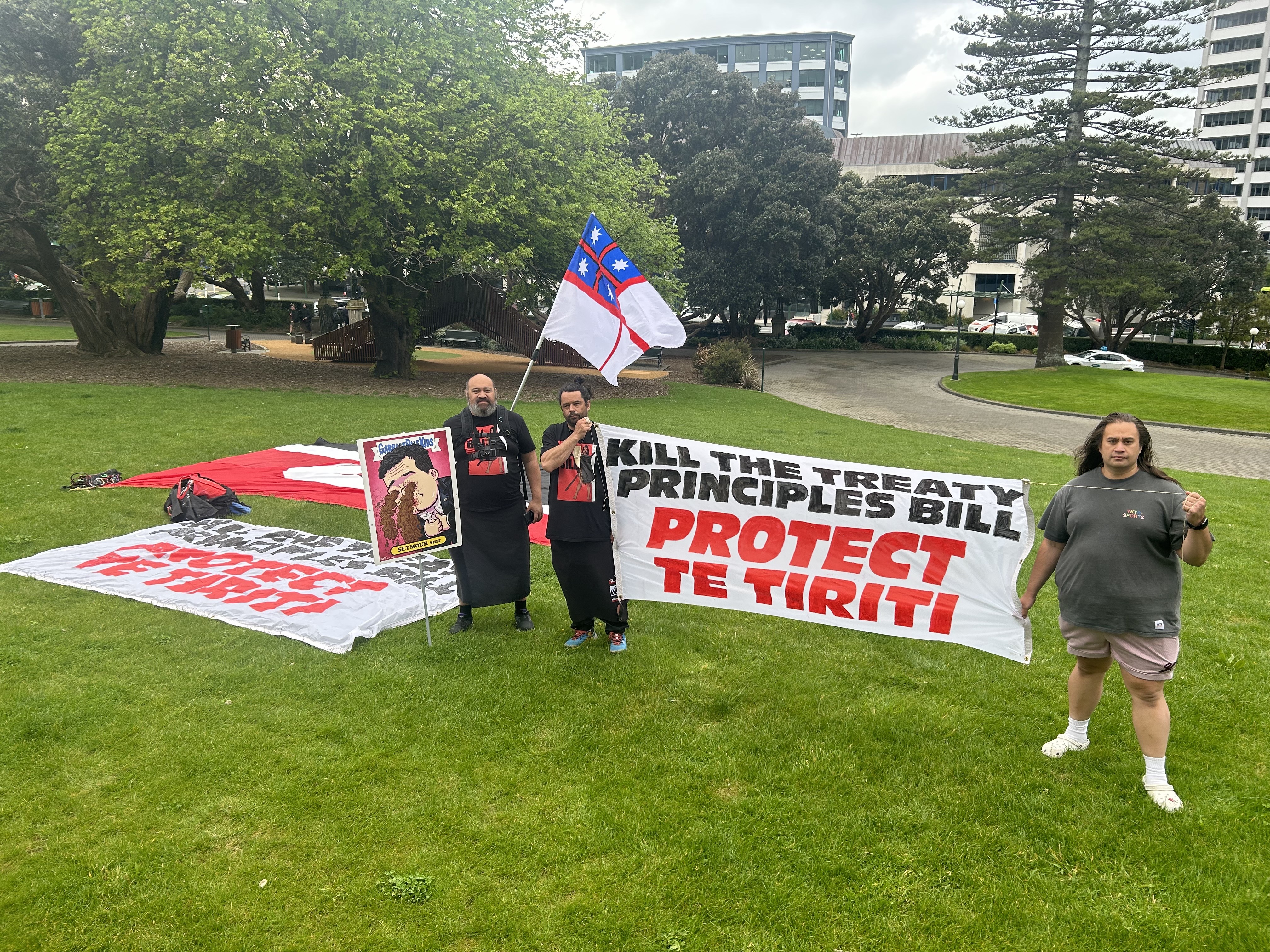 Protesters at Parliament on Thursday morning ahead of the introduction of the Treaty Principles Bill. Photo / Adam Pearse