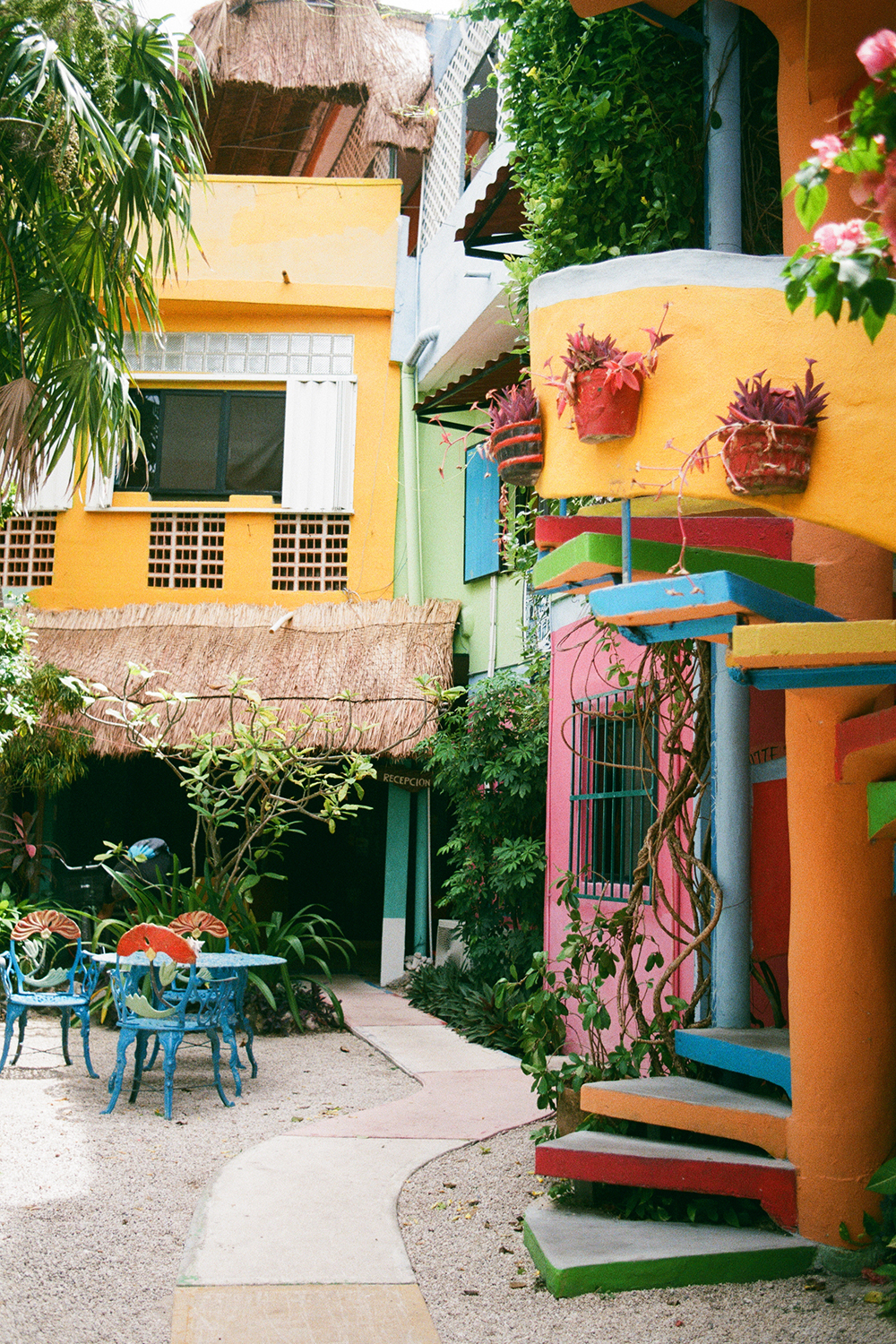 This was a very cool hostel in Playa del Carmen. I took this photo through the fence as I walked past it many times and it always caught my eye.