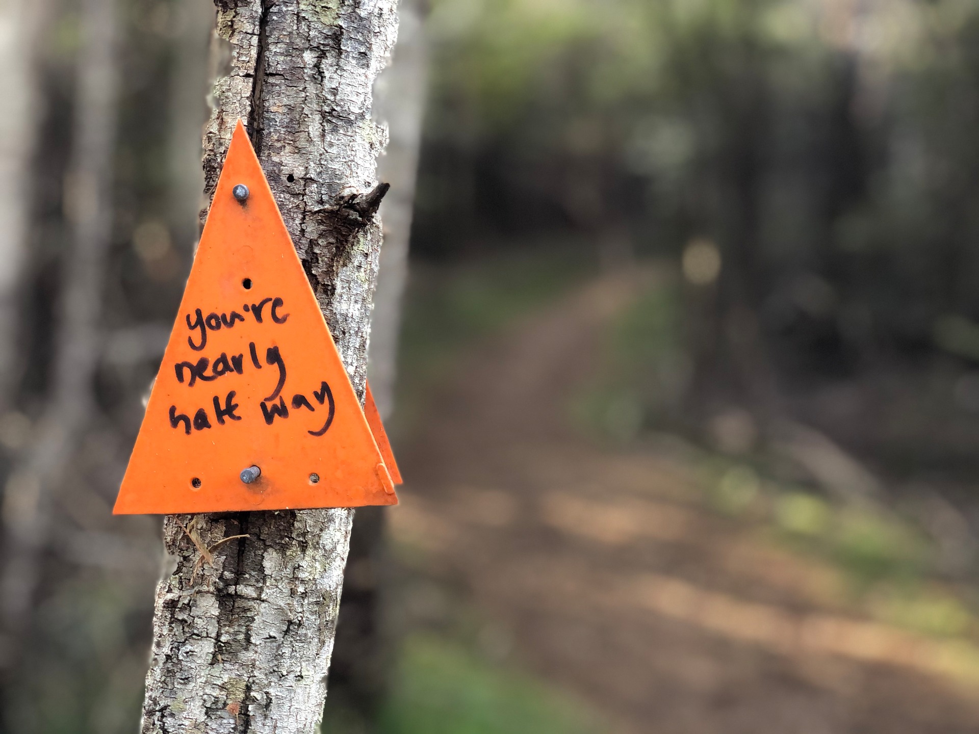The Cape Brett Track is hard but worth the effort. Photo: Supplied