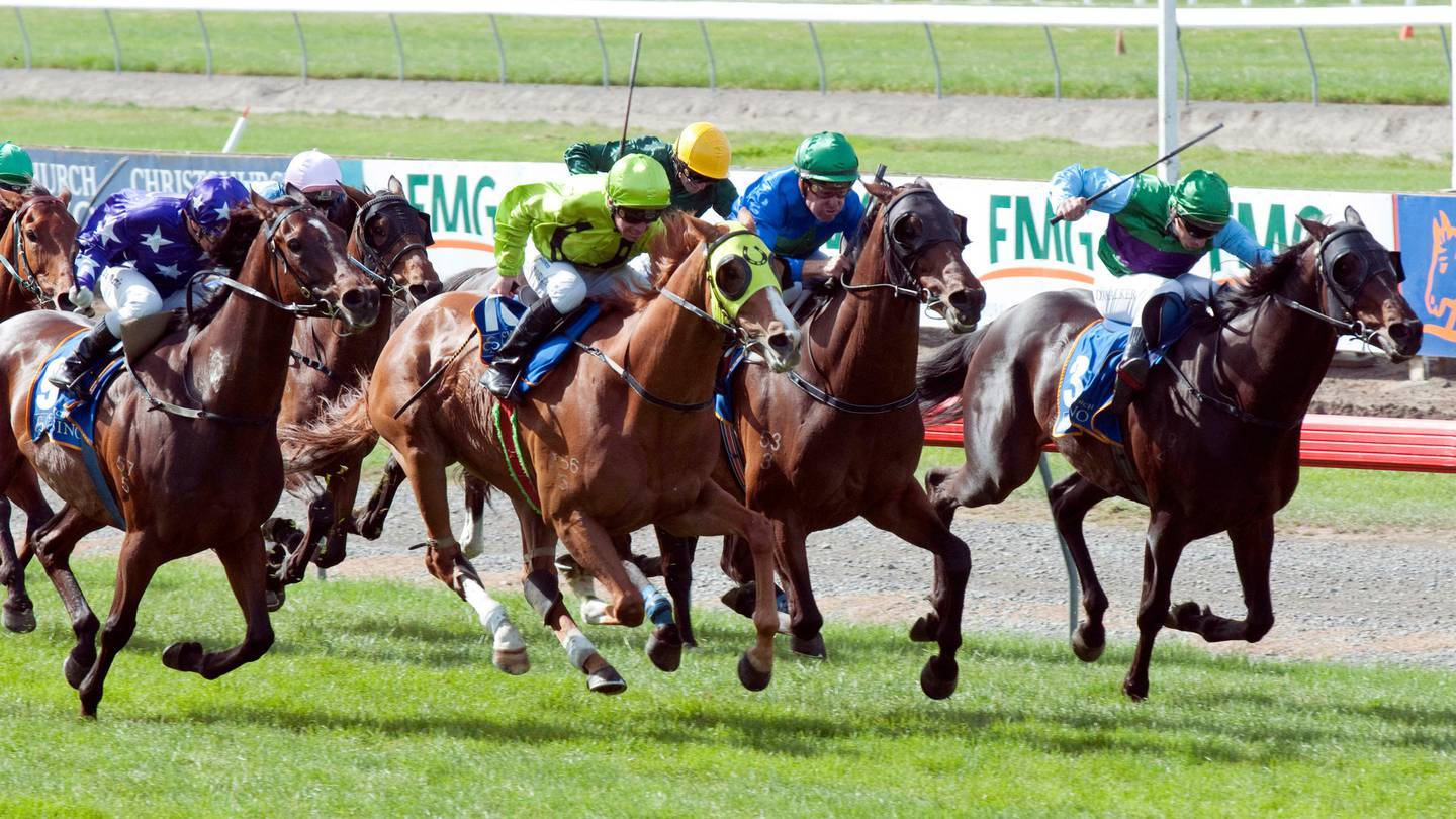 Tickets for The New Zealand Cup Meeting at Riccarton Racecourse on November 12 are selling fast. 