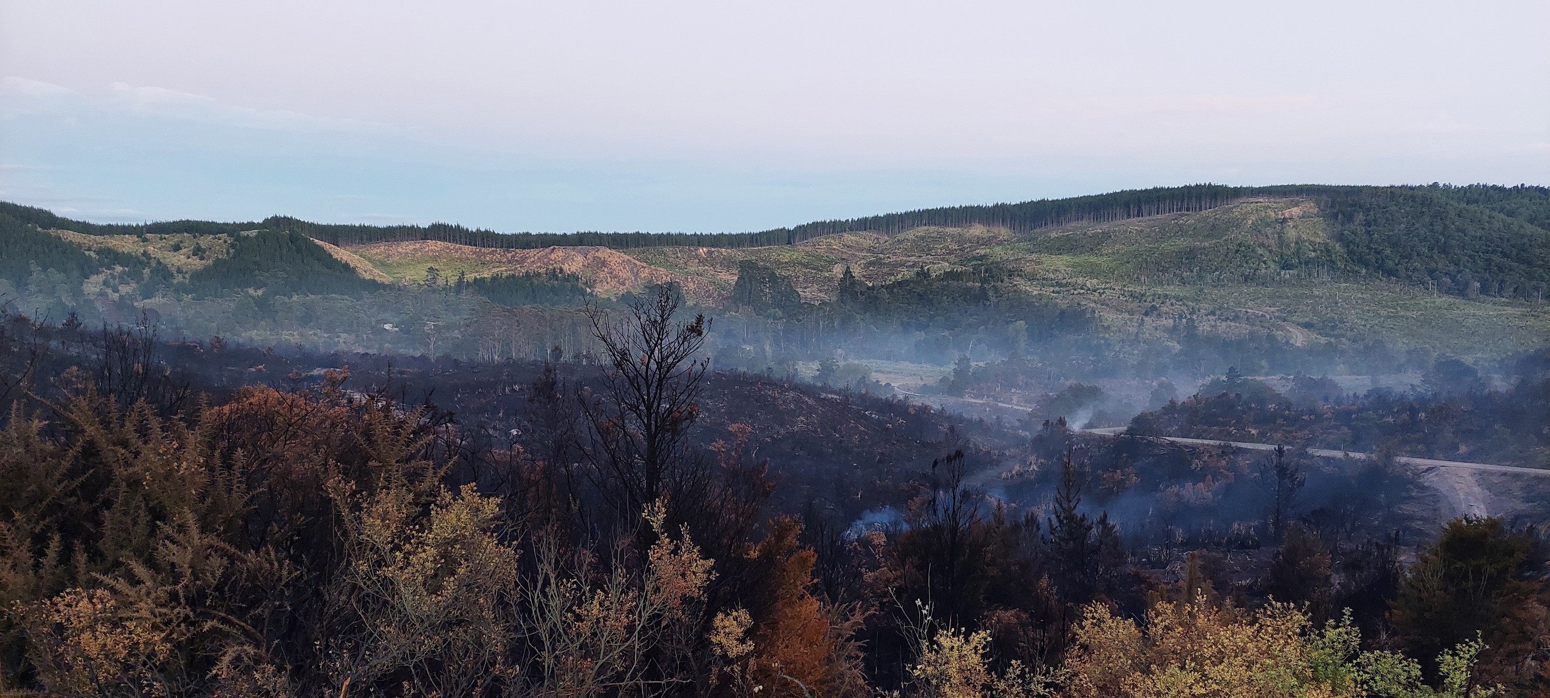 The blaze at Waipoua tore through 100ha of scrub and slash pine, threatening homes in the process. Photo / Fire and Emergency NZ