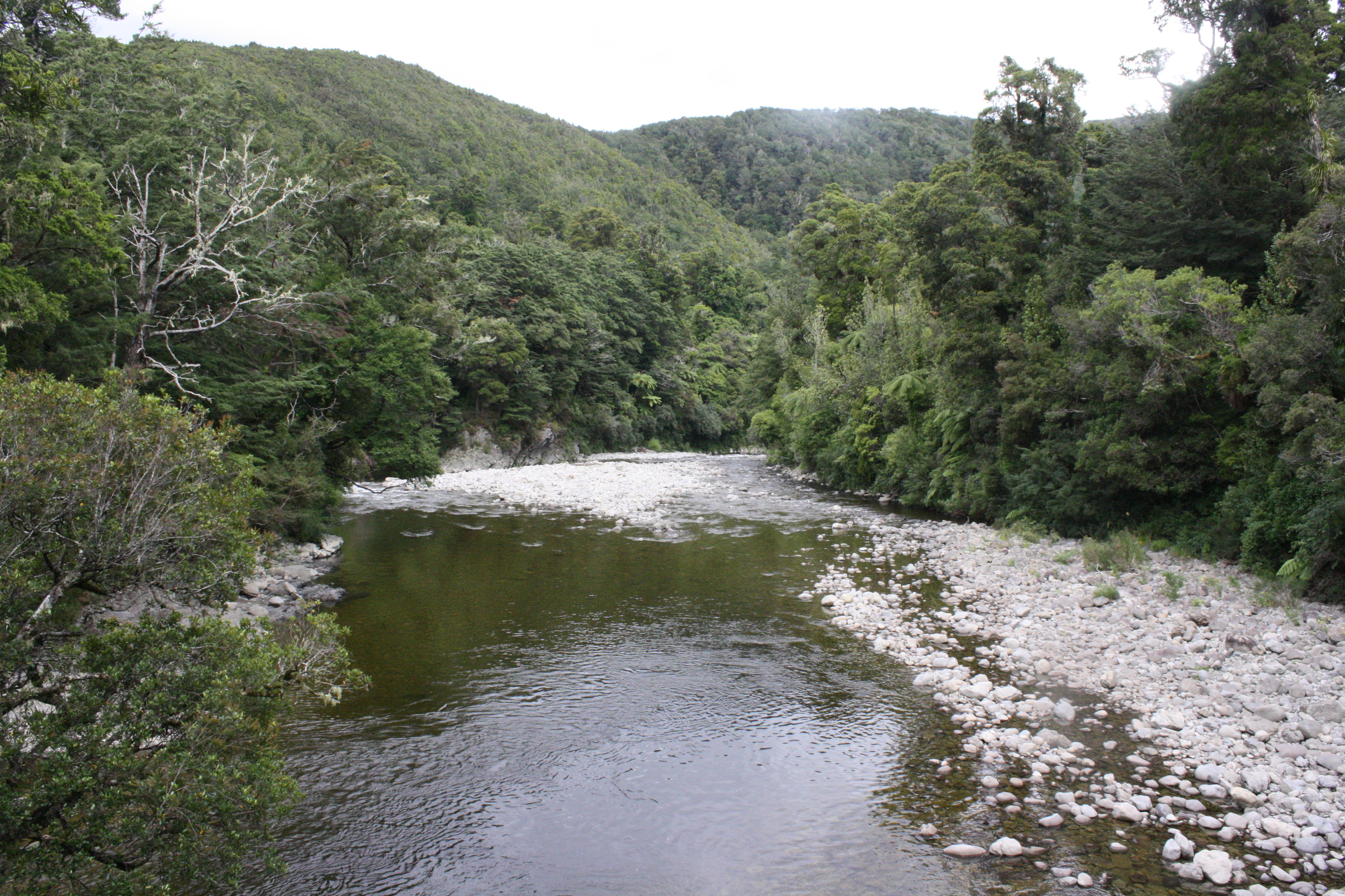 Emergency powers could be used to draw more water from the Hutt River to avoid a water shortage crisis in Wellington.