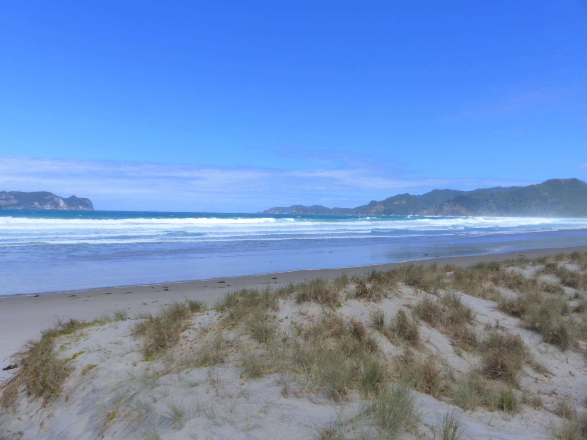 Whangapoua Beach at the north of Great Barrier Island with Arid Island to the left of the picture. Photo / Audrey Young