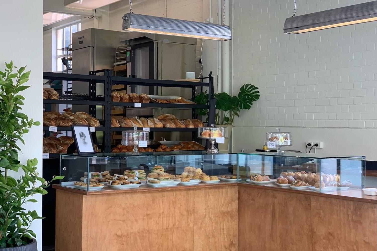Myrtle, perched in Mt Victoria, has an on-site bakery. Photo / @Myrtle.bakery