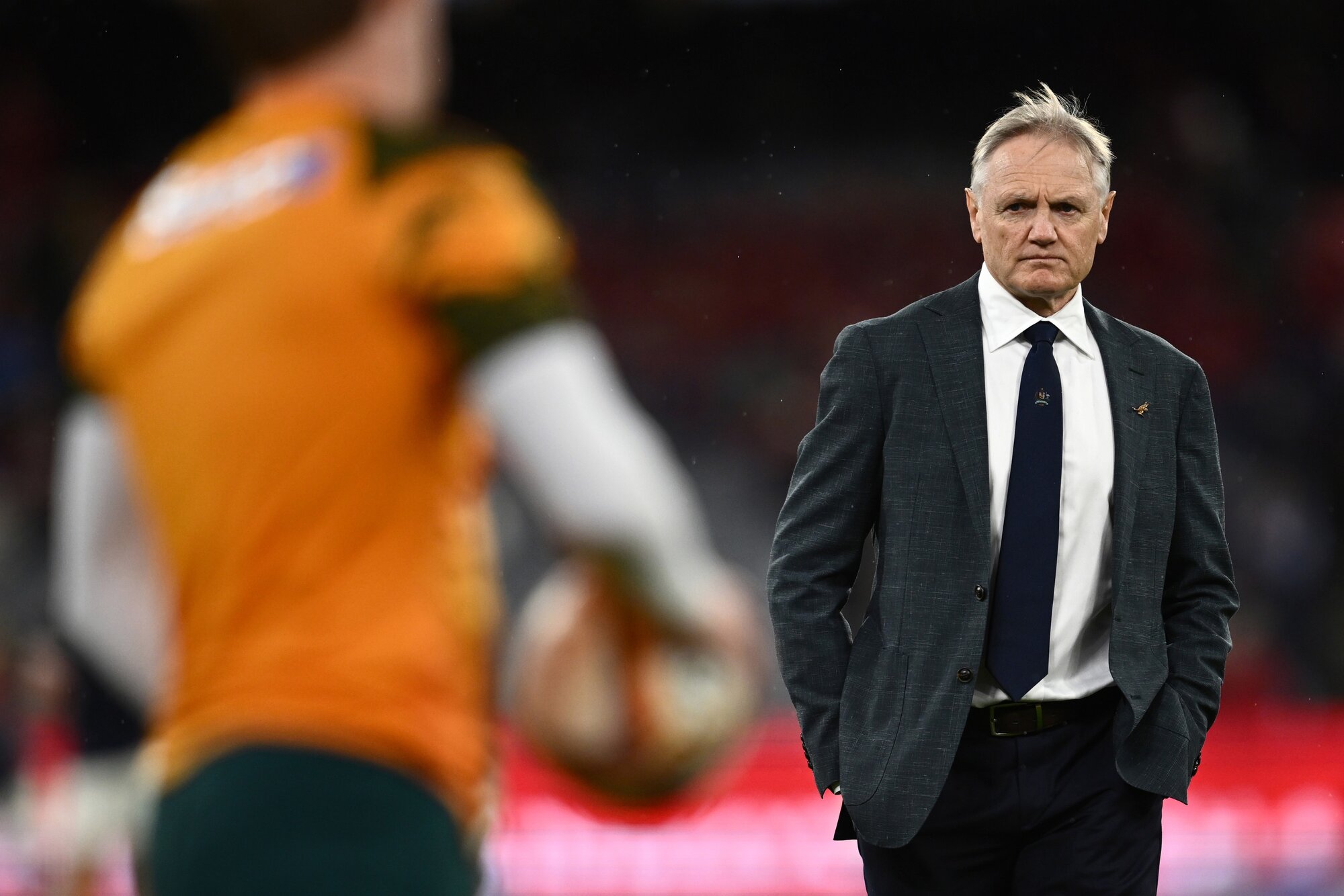 Joe Schmidt has markedly improved the performances of the Wallabies. Photo / Photosport