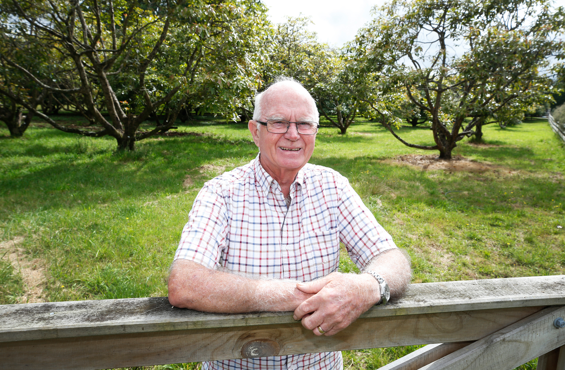 Roadsafe Northland and Northland Road Safety Trust chairman John Williamson. Photo / Michael Cunningham