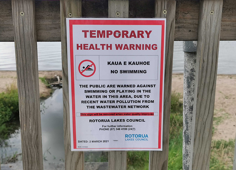 Temporary health warning signs have been erected on the shores of Lake Rotorua.  Photo / Andrew Warner
