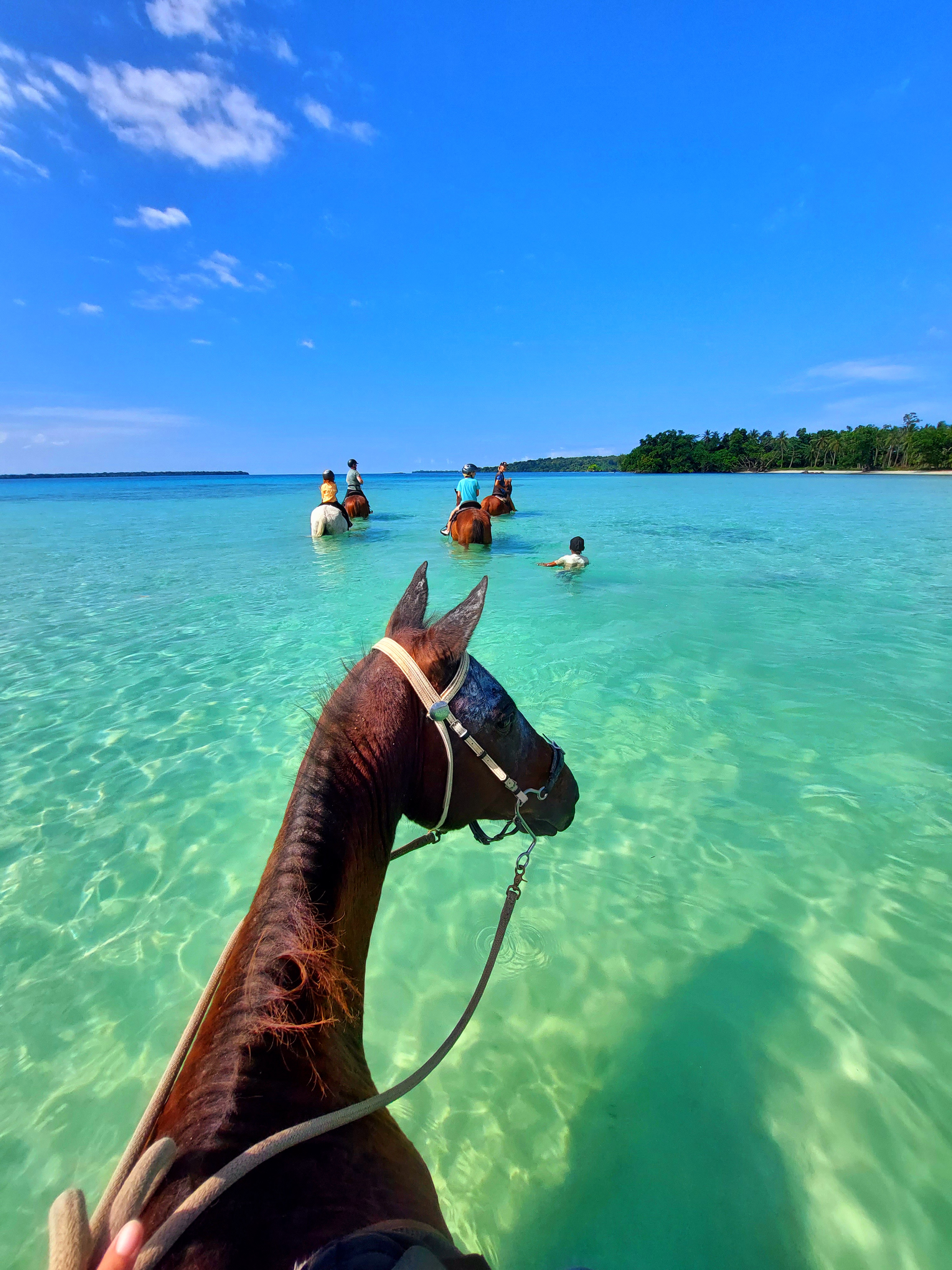 Vanuatu tours and holidays: Best things to do and see, according to Kiwi  tour operators - NZ Herald