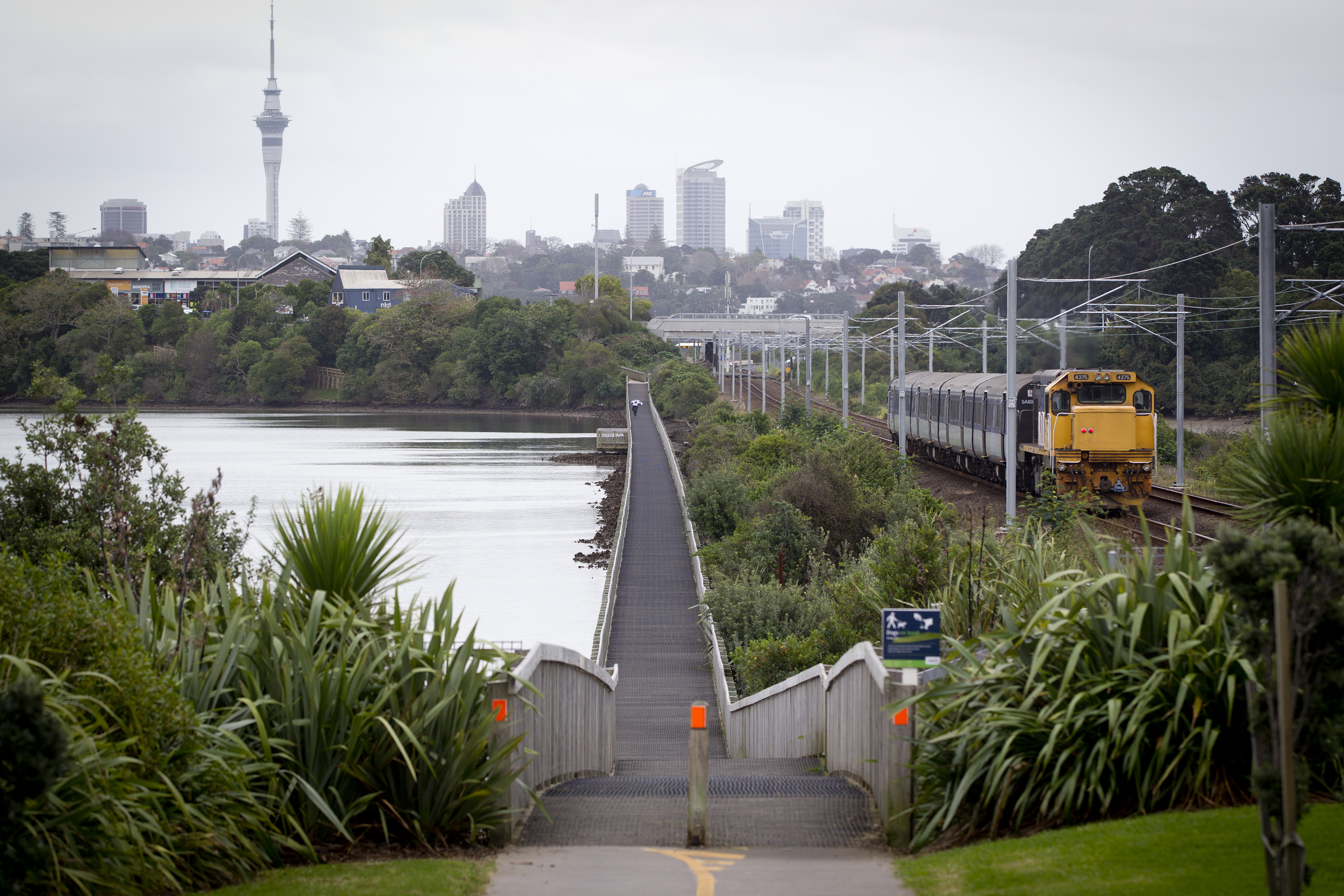 A section of the Orakei Basin boardwalk, with Auckland city visible in the distance.