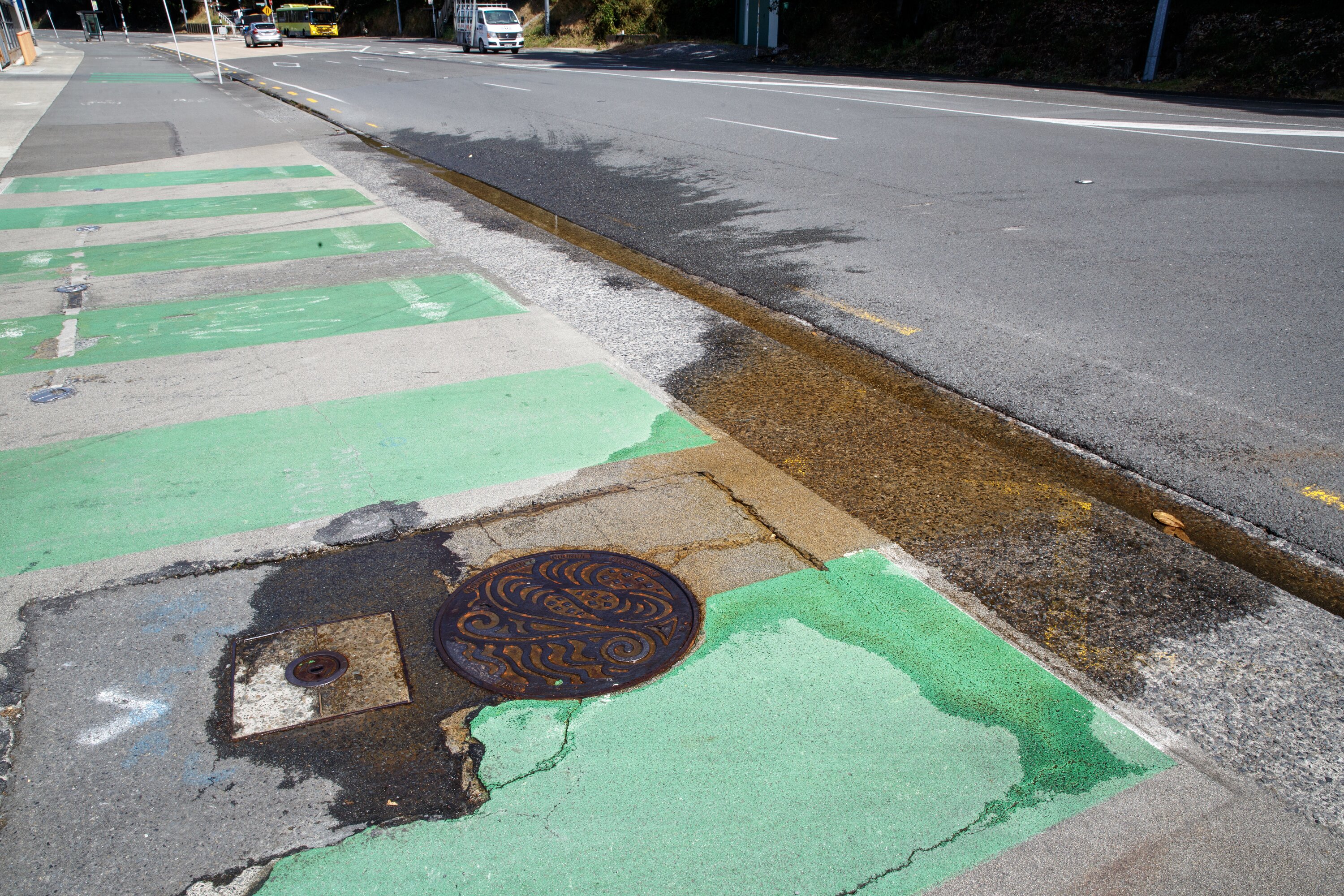About 44 per cent of Wellington's treated drinking water is being lost through leaks. Photo / Mark Mitchell