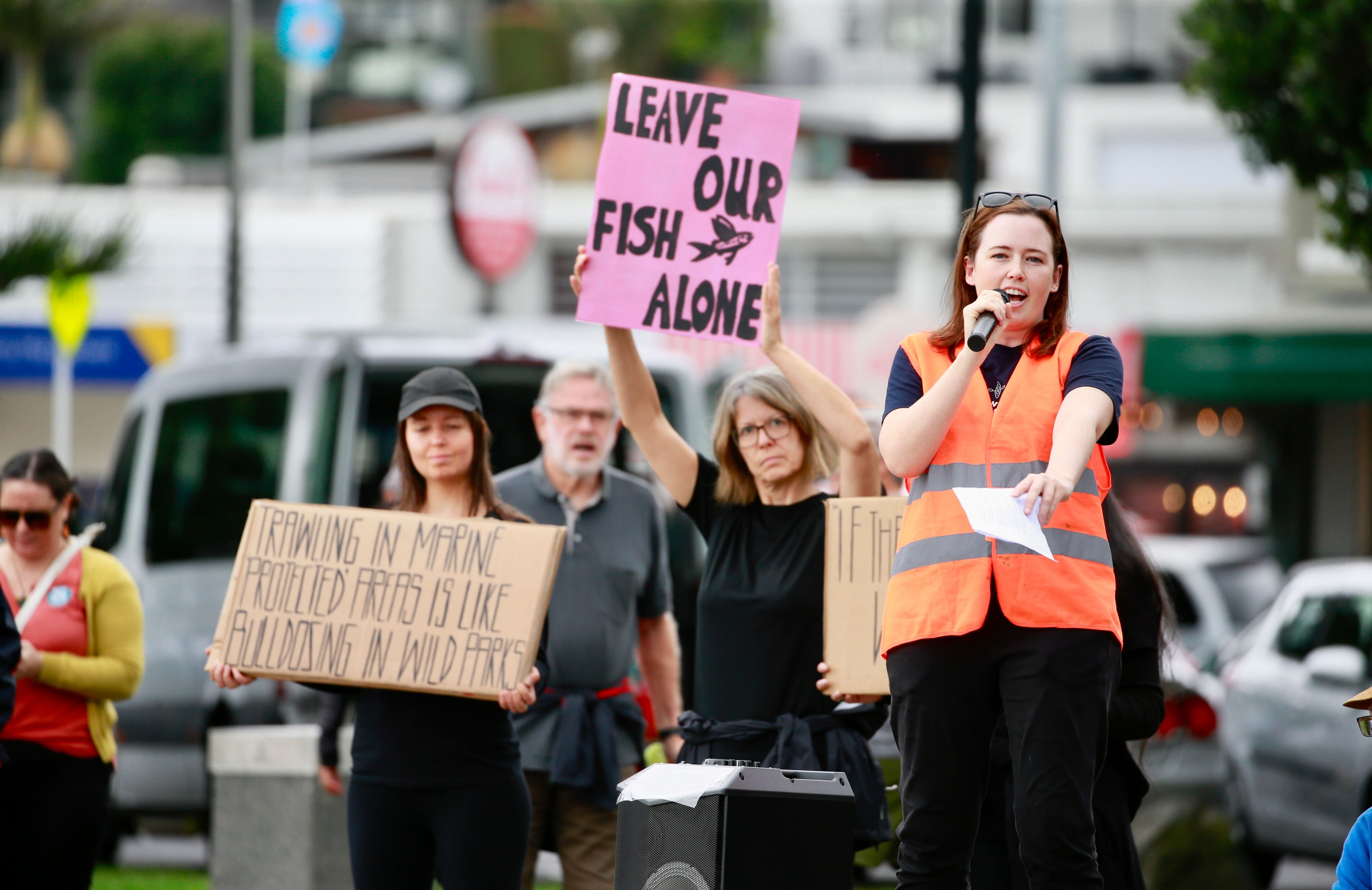 A poll in 2021 showed that 84 per cent of the public who live in the vicinity of the Hauraki Gulf do not want mobile bottom contact fishing to continue. Photo / Alex Burton