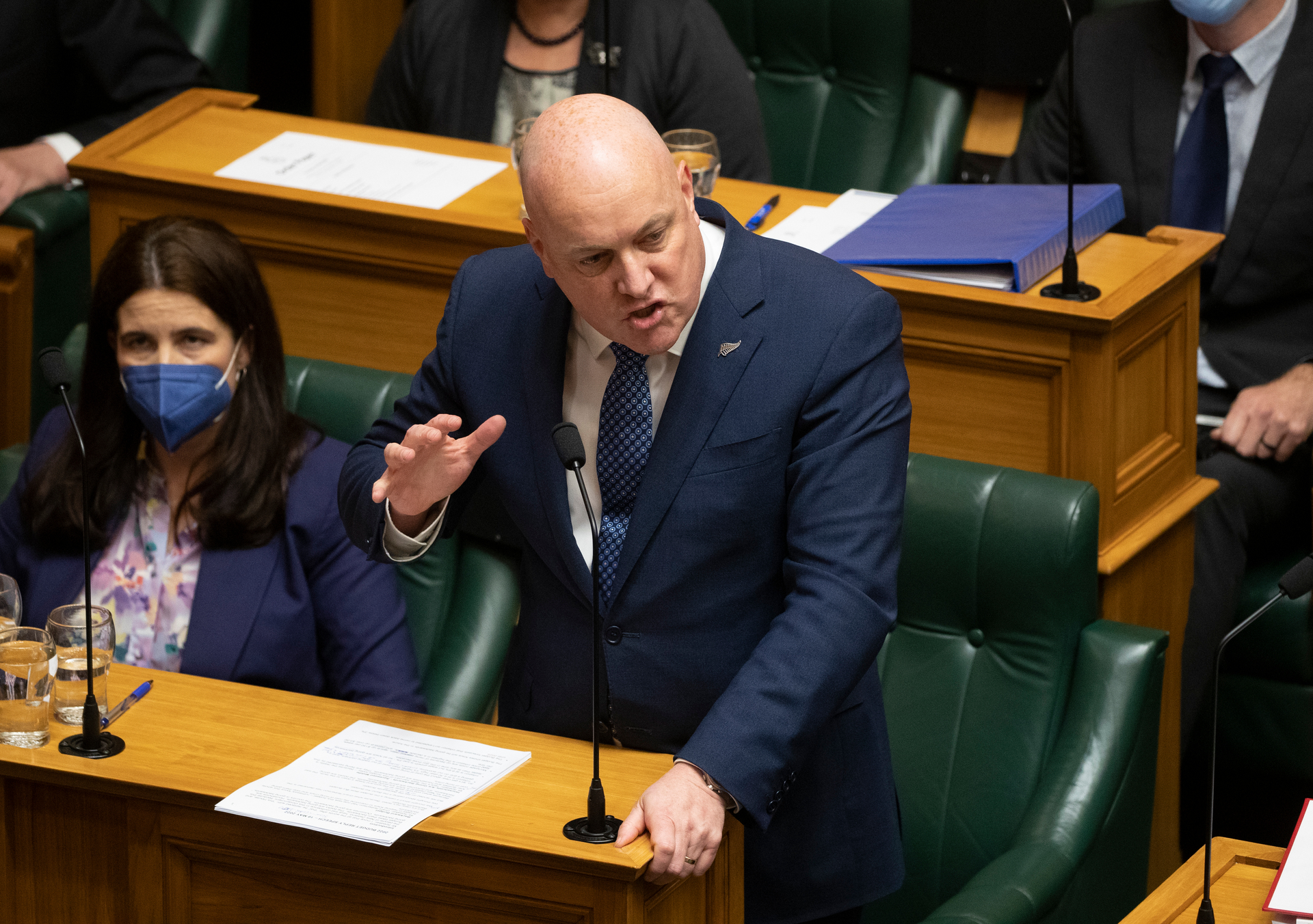 Christopher Luxon speaks on Budget 2022 in Parliament. Photo / Mark Mitchell