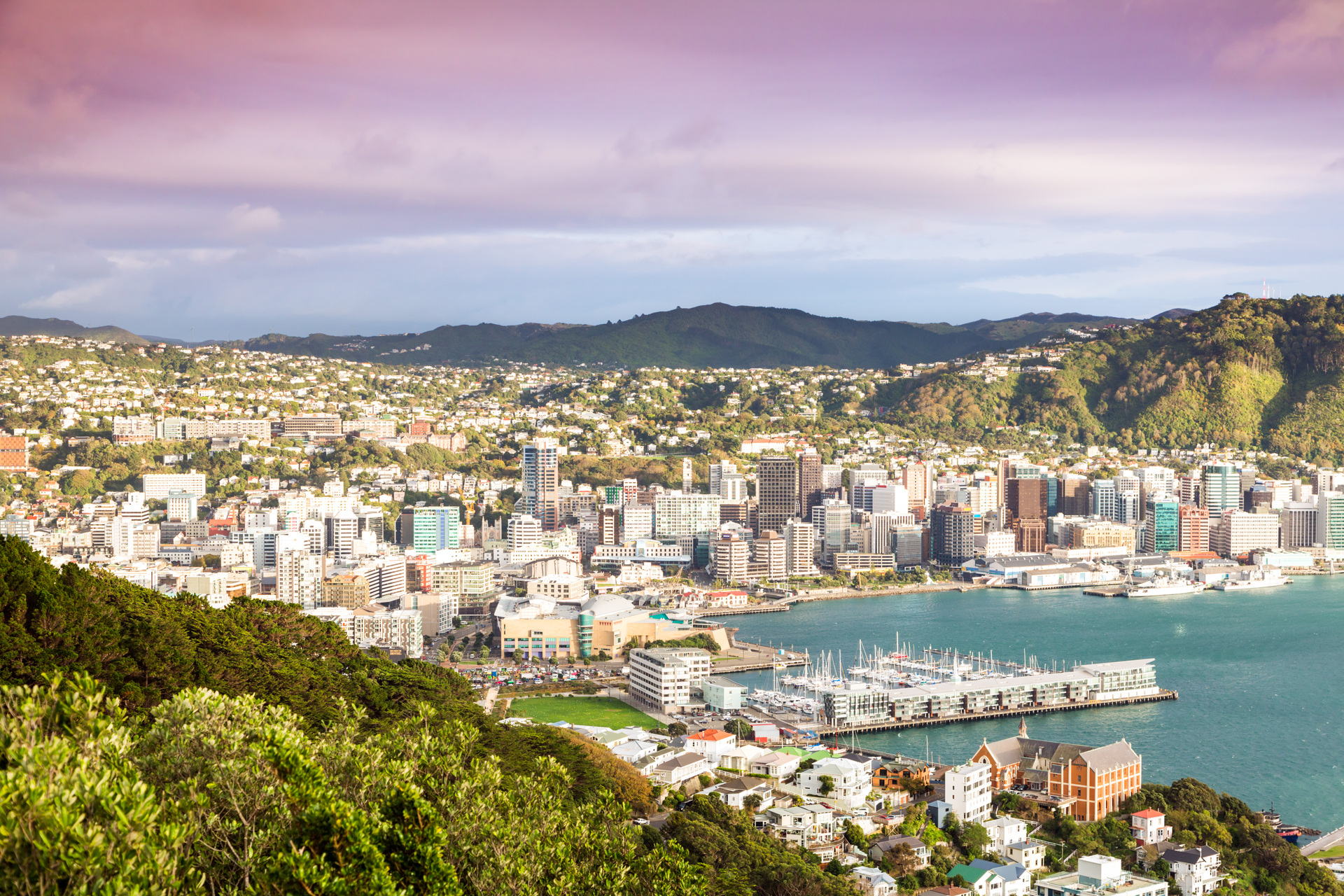 A surge in migration is likely to see more people looking to buy and rent in cities like Wellington. Photo / Matteo Colombo