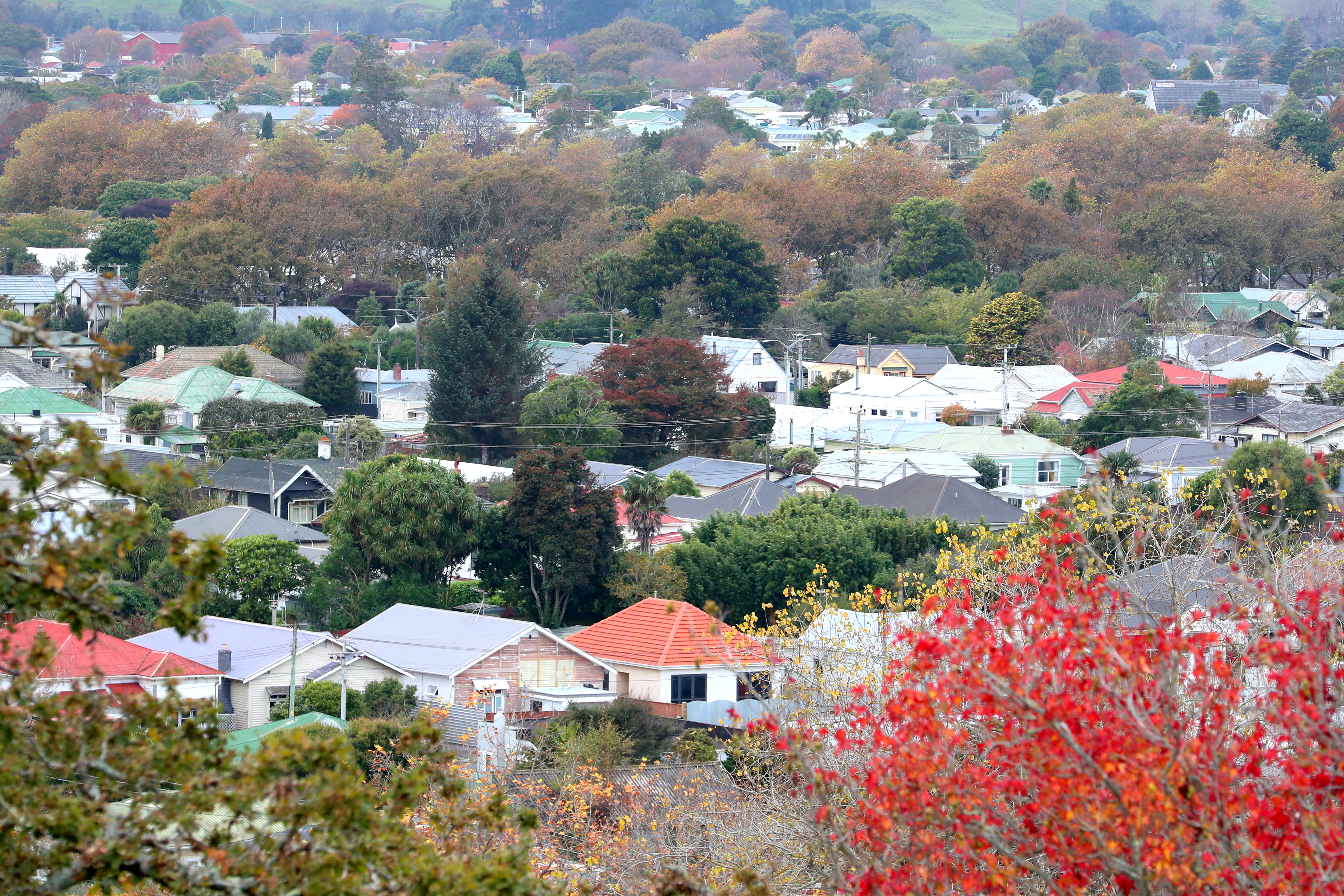 Census 2023 needs to be completed by Tuesday, March 7. Photo / Bevan Conley