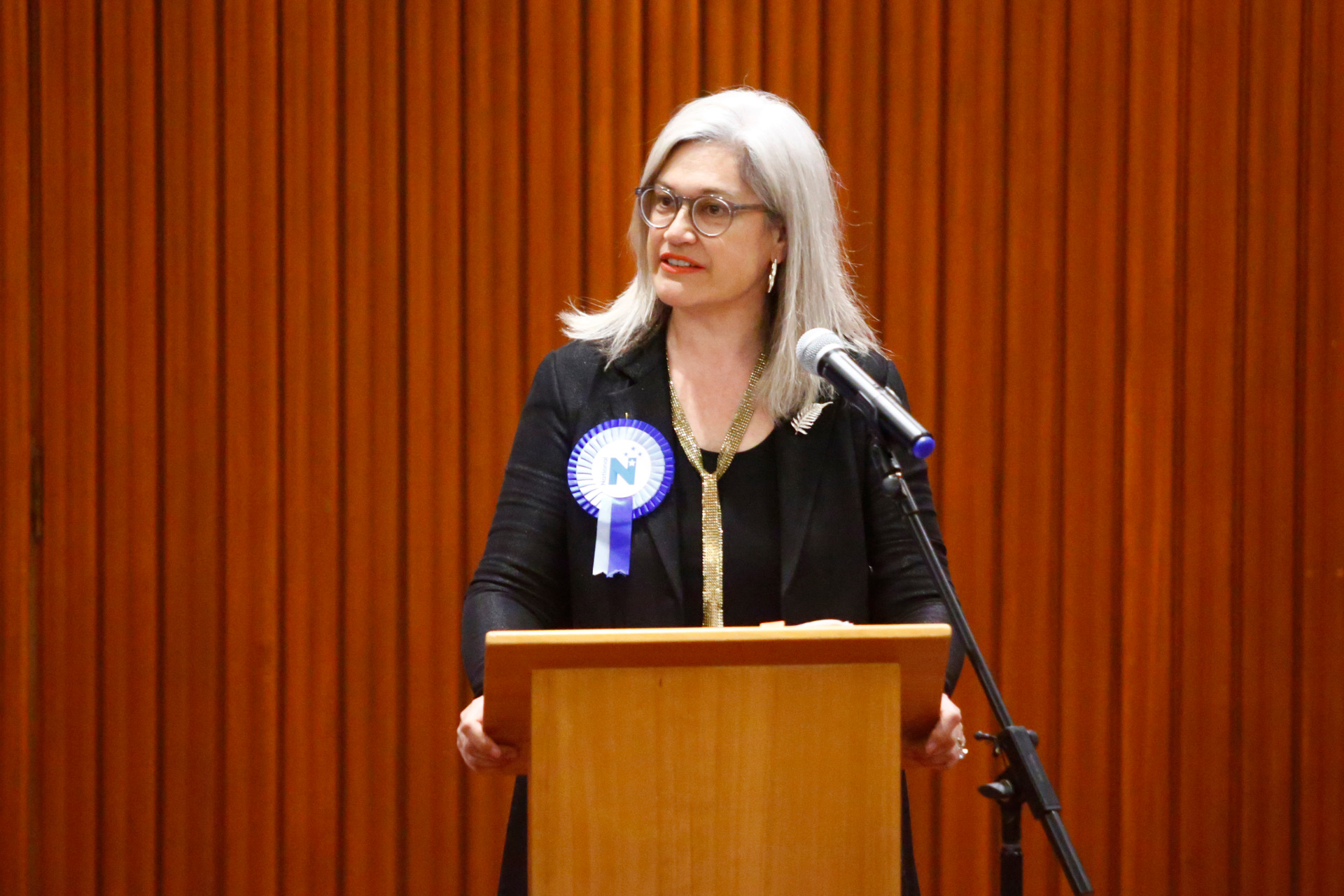 Hipango was first elected as MP for Whanganui in 2017 with an 1000 vote majority, but went on to lose the seat in 2020 by a margin of 8000 votes. Photo / Bevan Conley