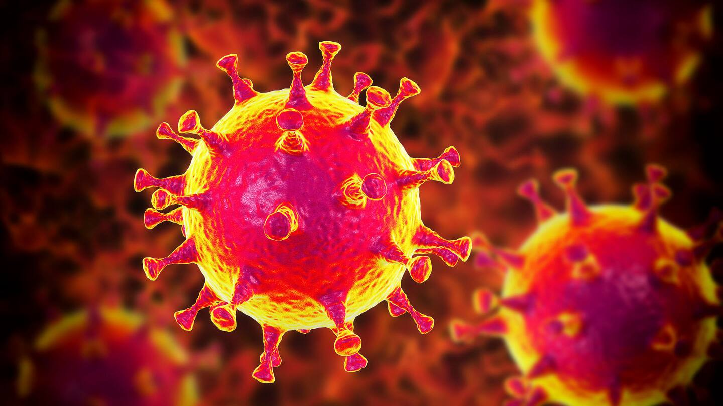 The CIA said it was “more likely” the virus leaked from a Chinese lab rather than being transmitted by animals. Photo / 123RF