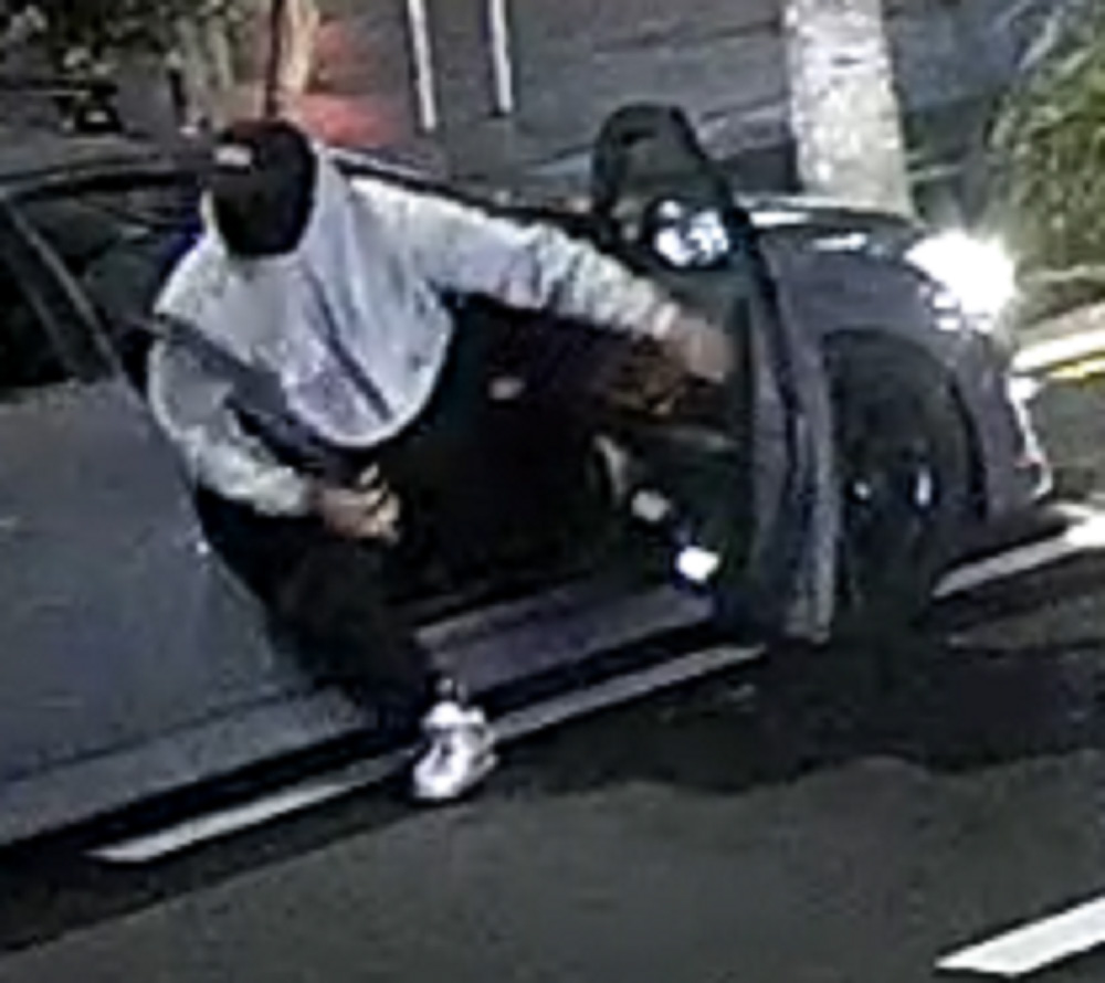 Police have released images of the vandals so see if the public can help identify them. Photo / NZ Police