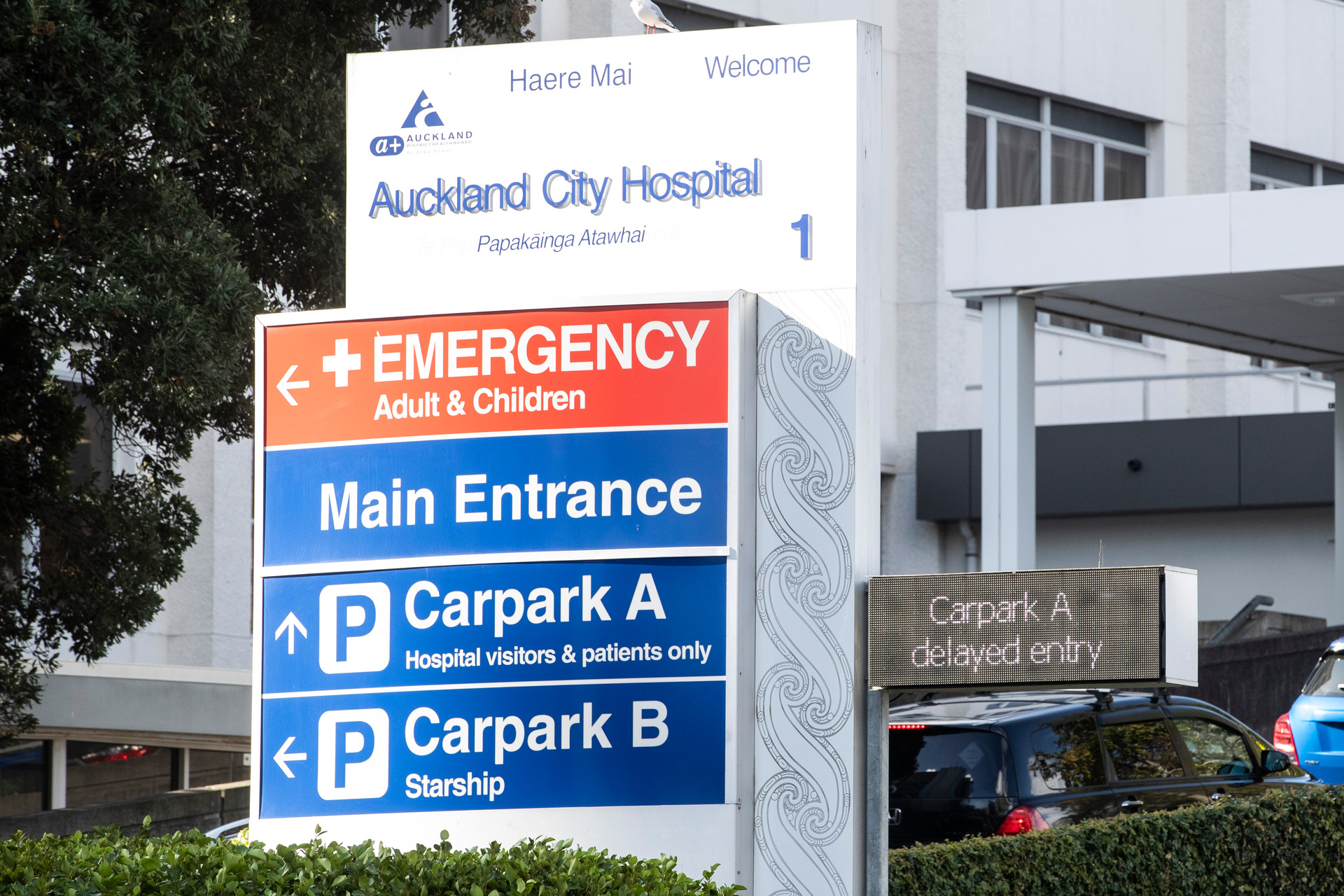 An early spike in severe cases of respiratory illness has been observed in Auckland ahead of the normal flu season. Photo / Jason Oxenham