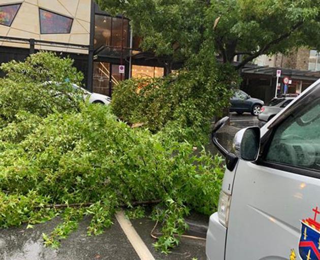 A tree blocks traffic at the corner of Church St and Marine Parade in central Queenstown. Photo / Tu Bull