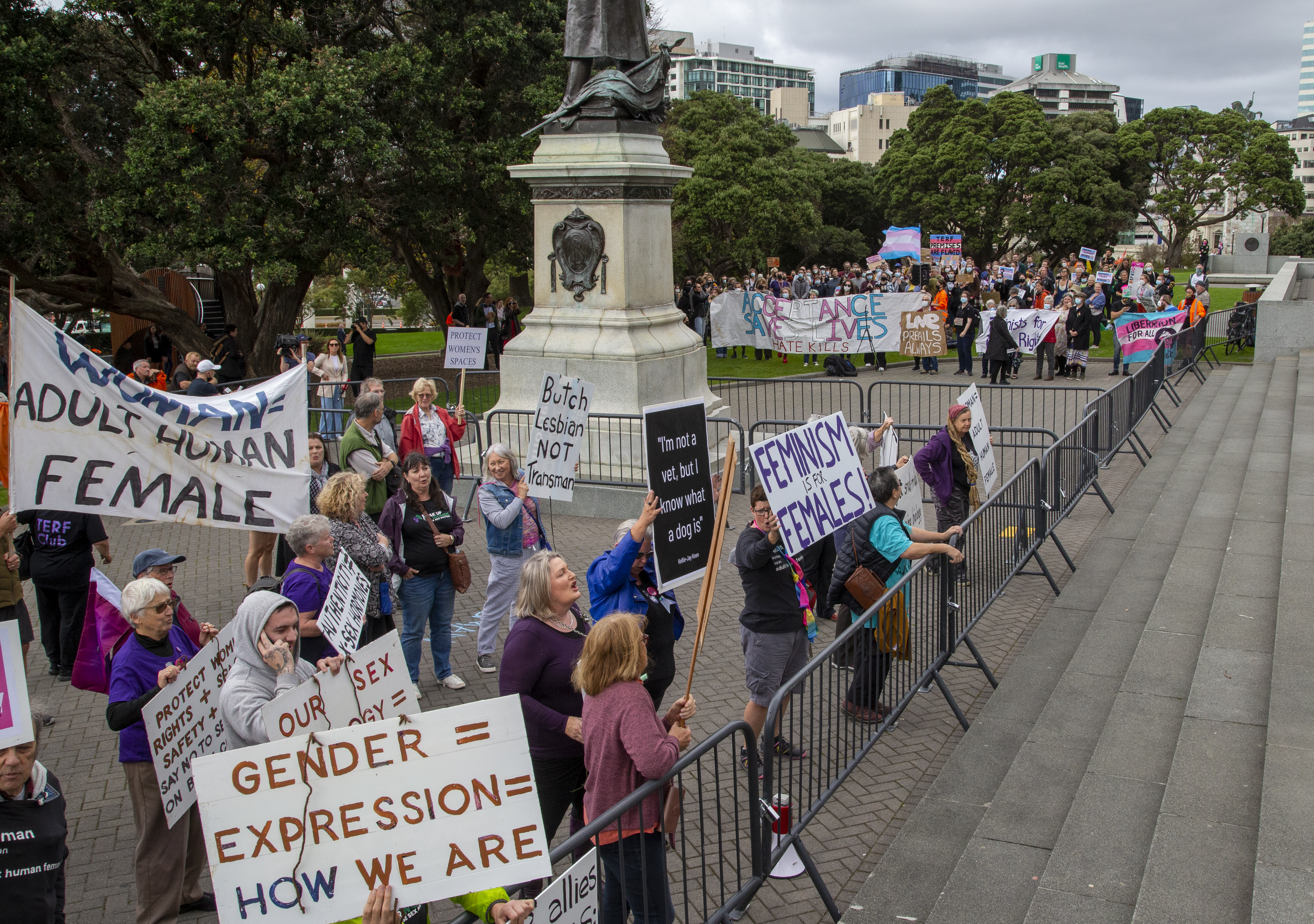 The two rival protest groups are gathering on Parliament's front lawn. Photo / Mark Mitchell