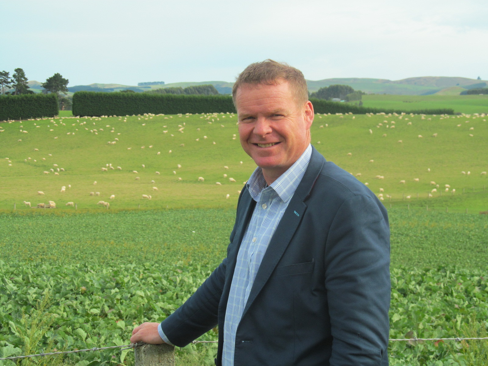Rabobank chief executive Todd Charteris says the bank increasing its market share shows there is competition in the sector.