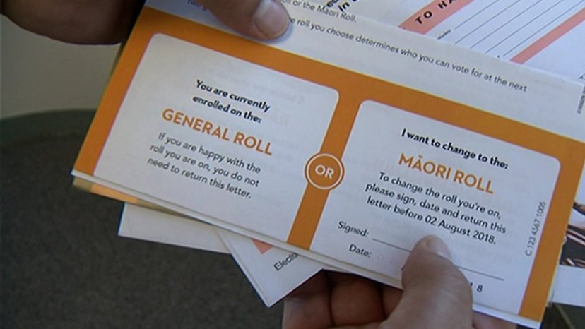 Māori voters who want to switch electoral rolls before the election can do so from today until July 13. Photo / Whakaata Māori