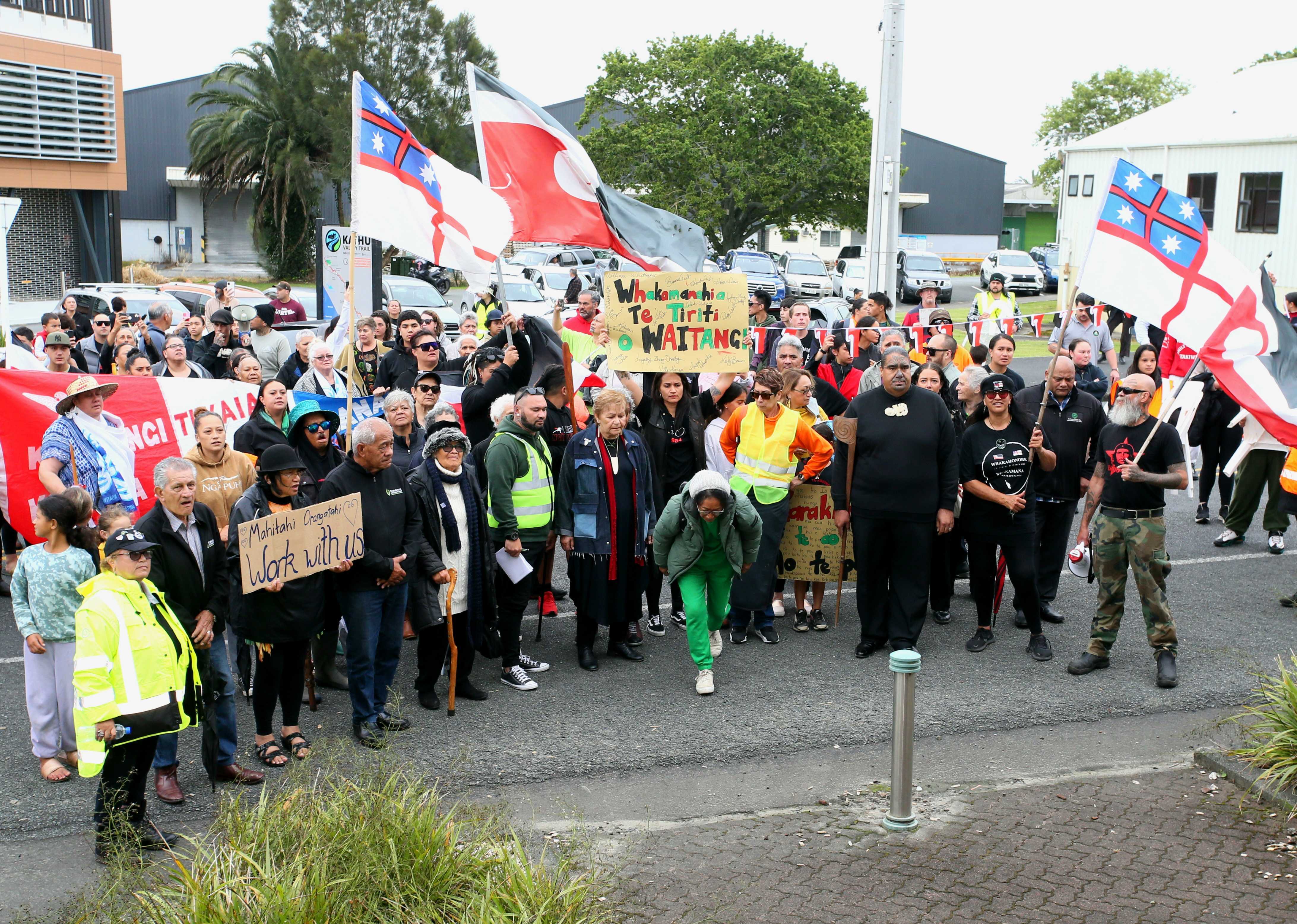 More than 300 people took part in the hīkoi. Photo / Tania Whyte